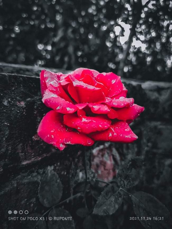 6c02c7e6a1f0c4f0114f1a8df0e359df.0.jpg