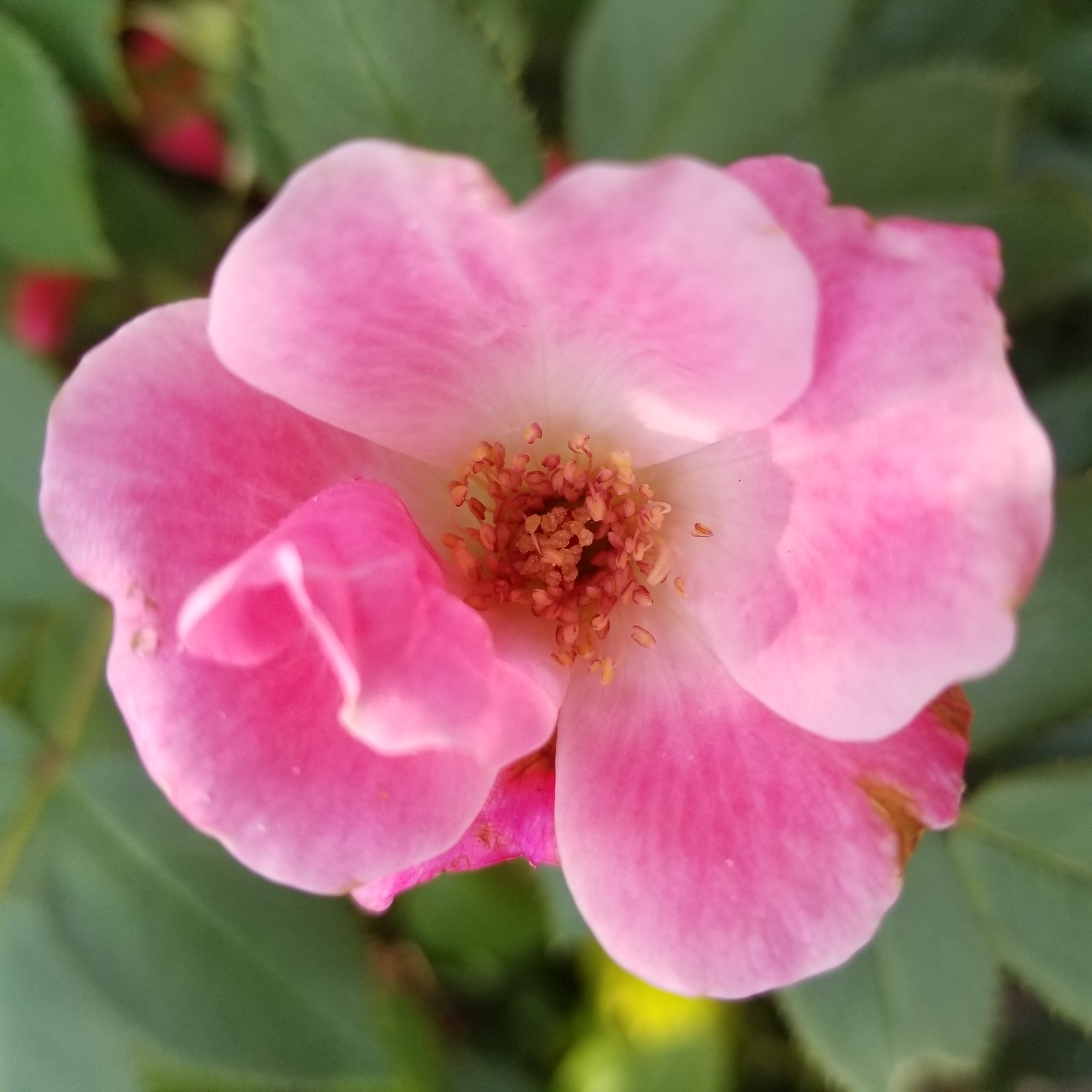 20180728_125147.jpg