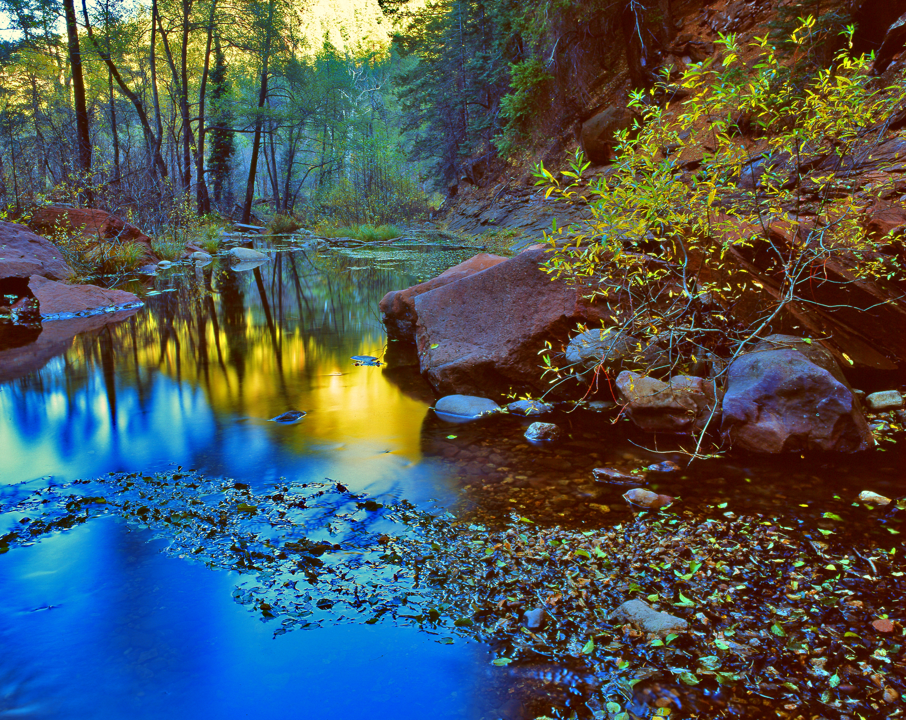 west fork+ 8x10.jpg