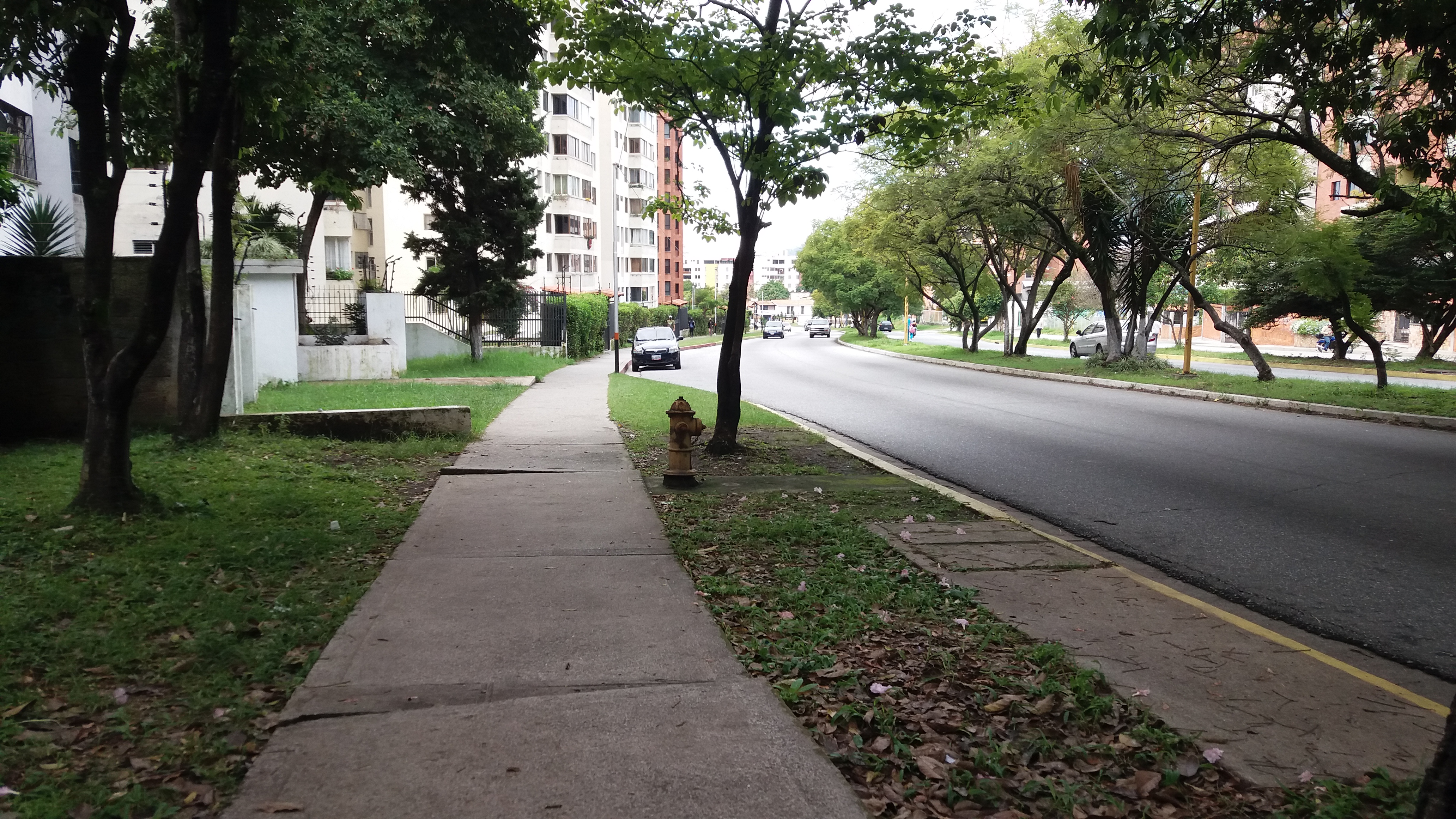 20201216_110214.jpg