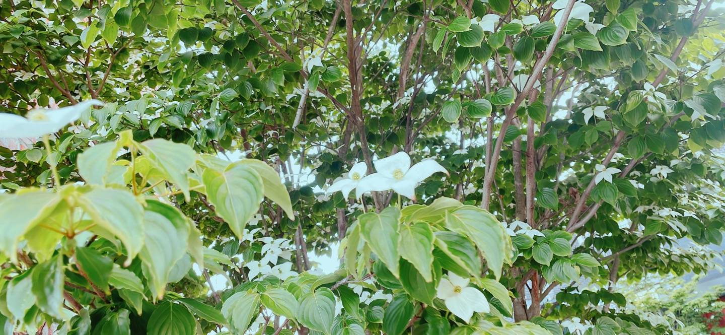 KakaoTalk_20260721_223006126_01.jpg