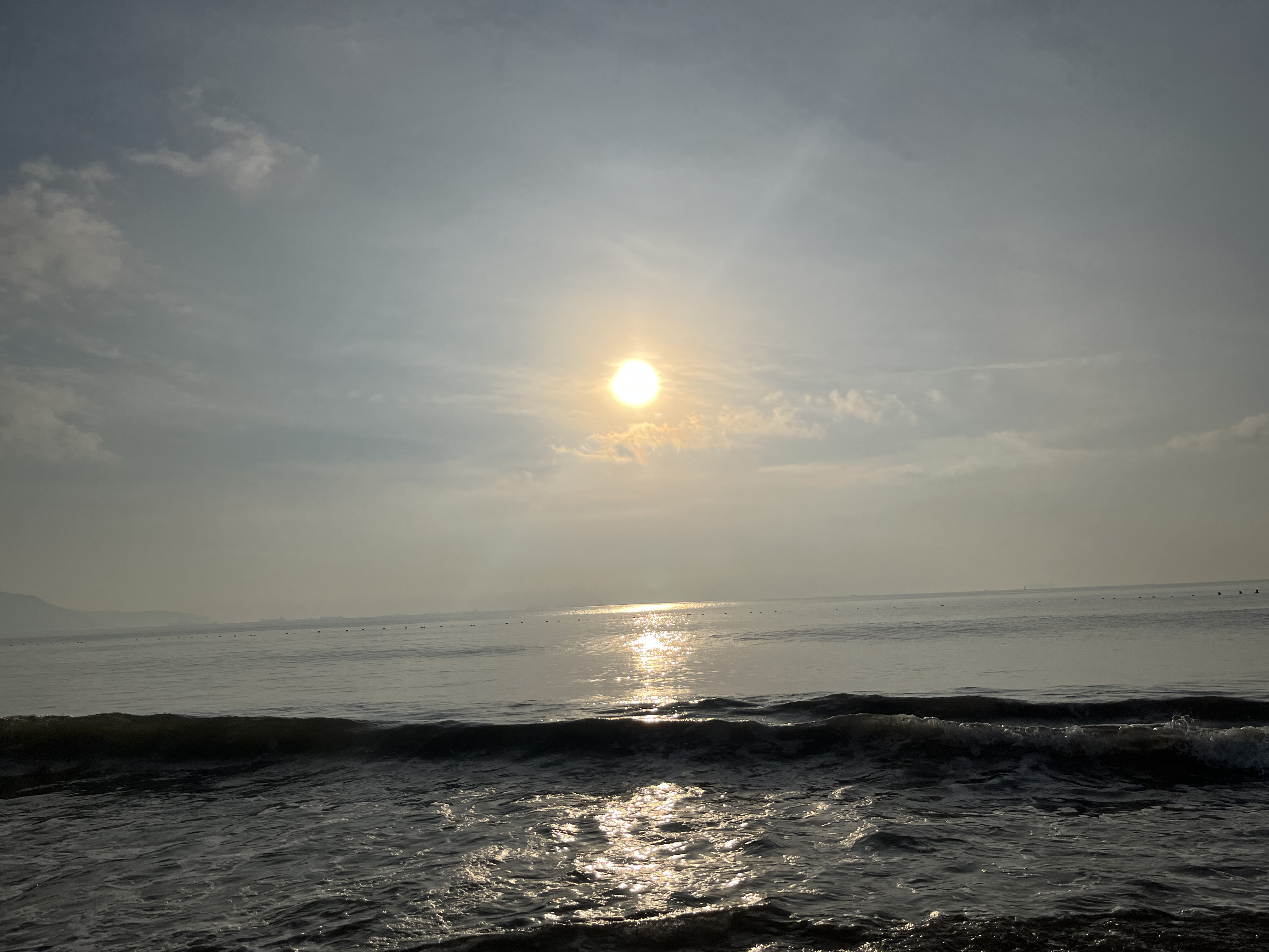 IMG_1726.jpeg