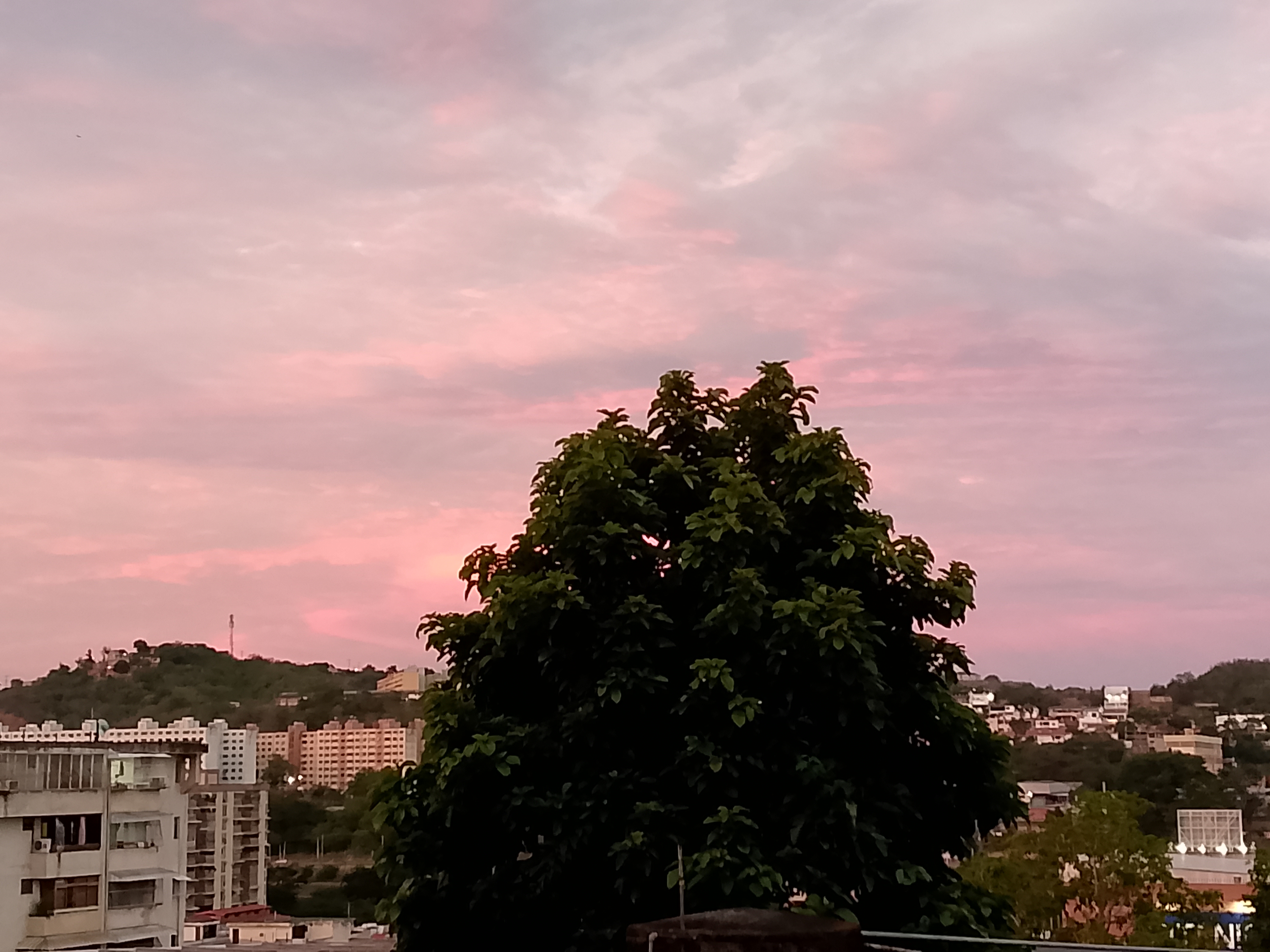 IMG_20260531_185020_197.jpg
