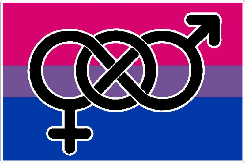 Bisexual-Awareness-or-Queer-Awareness-Week-bisexual-flag-1029688-fa56892a.jpeg