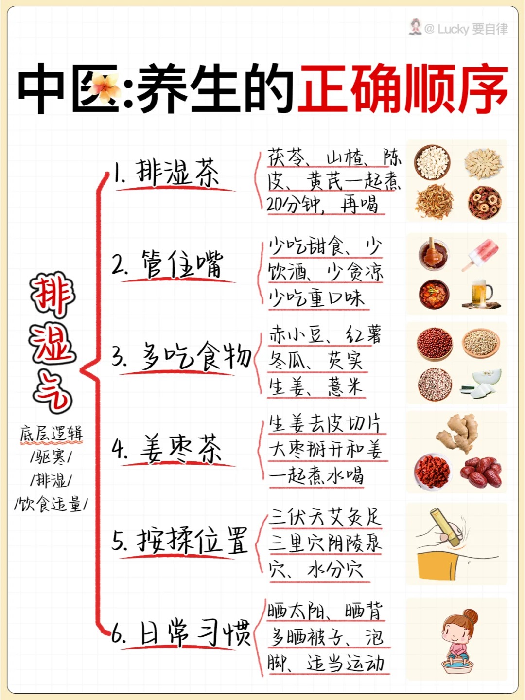 吐血整理🔥️建议收藏!正确的养生顺序_4_Lucky要自律_来自小红书网页版.jpg
