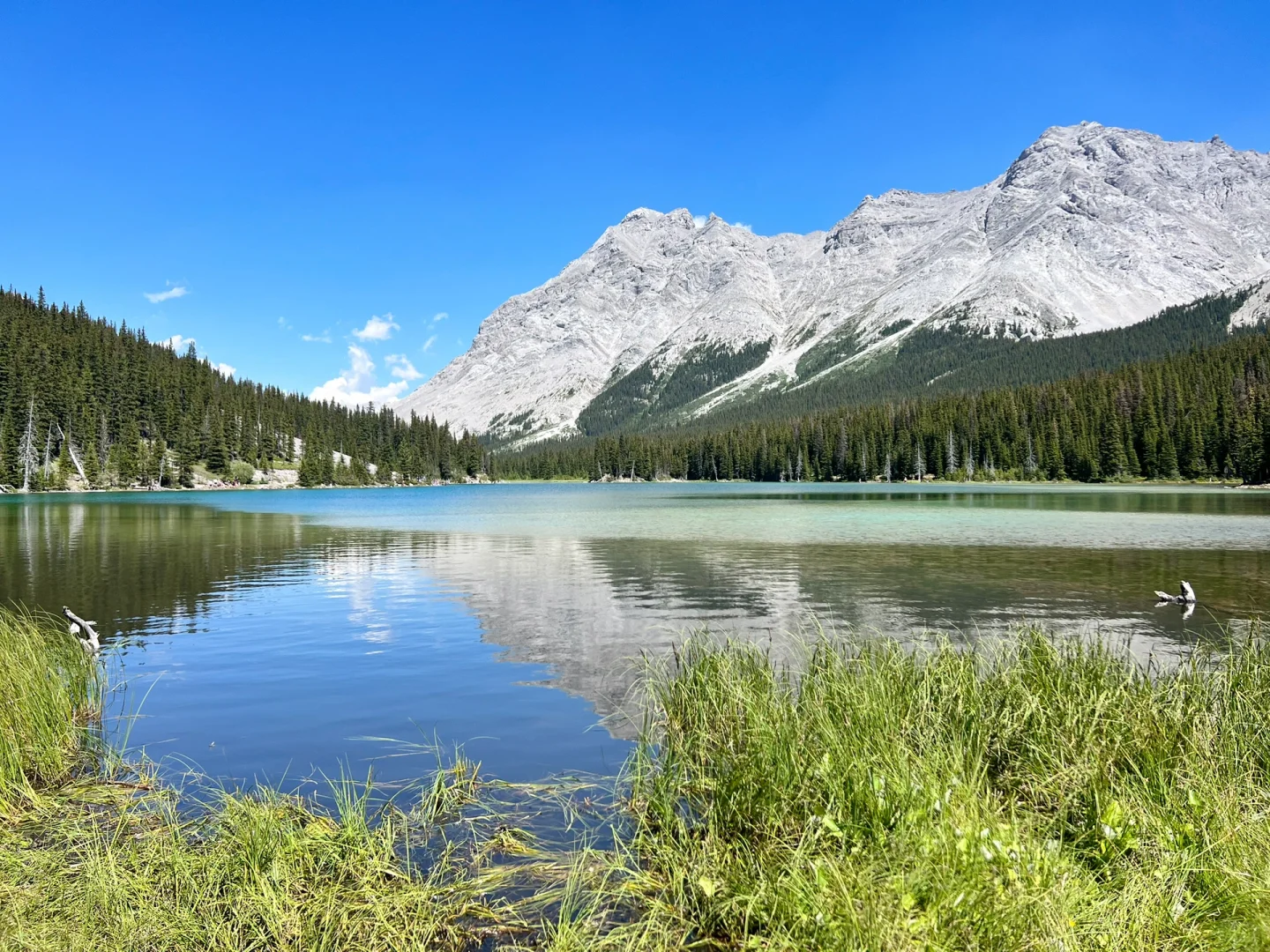 104.webp