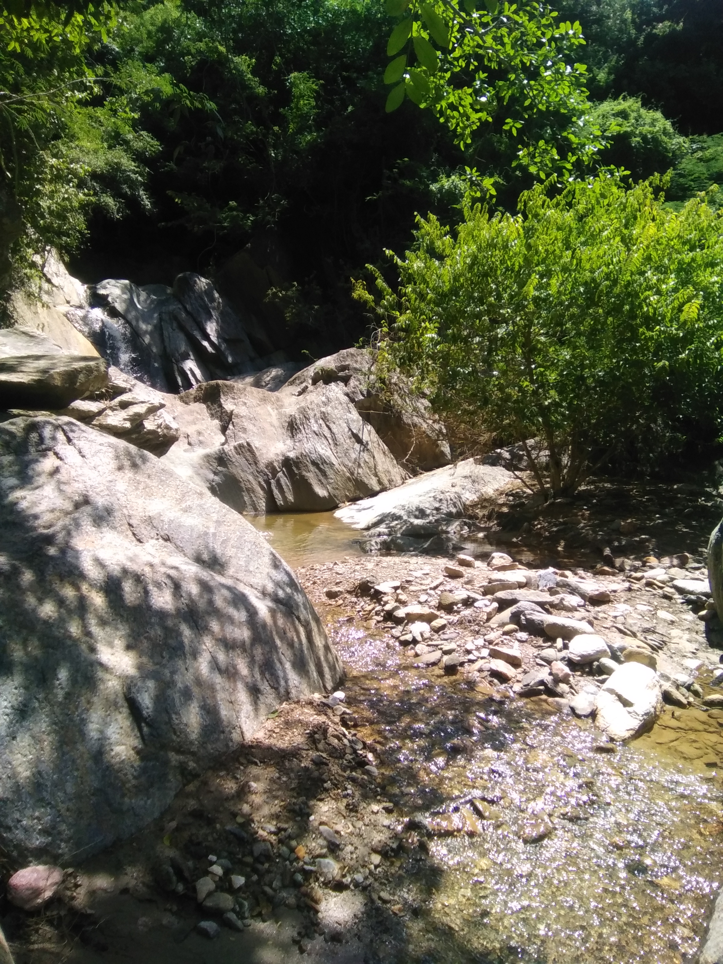 IMG_20220904_103125.jpg
