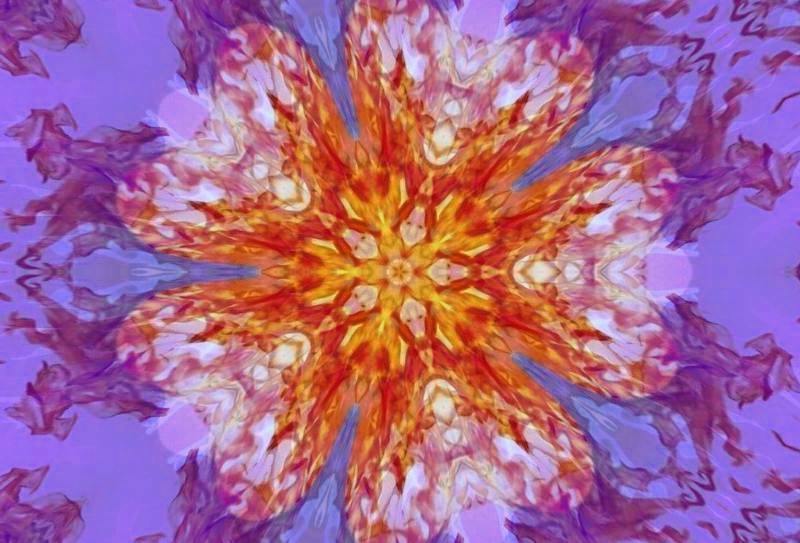 purplecloverfirestar.jpg