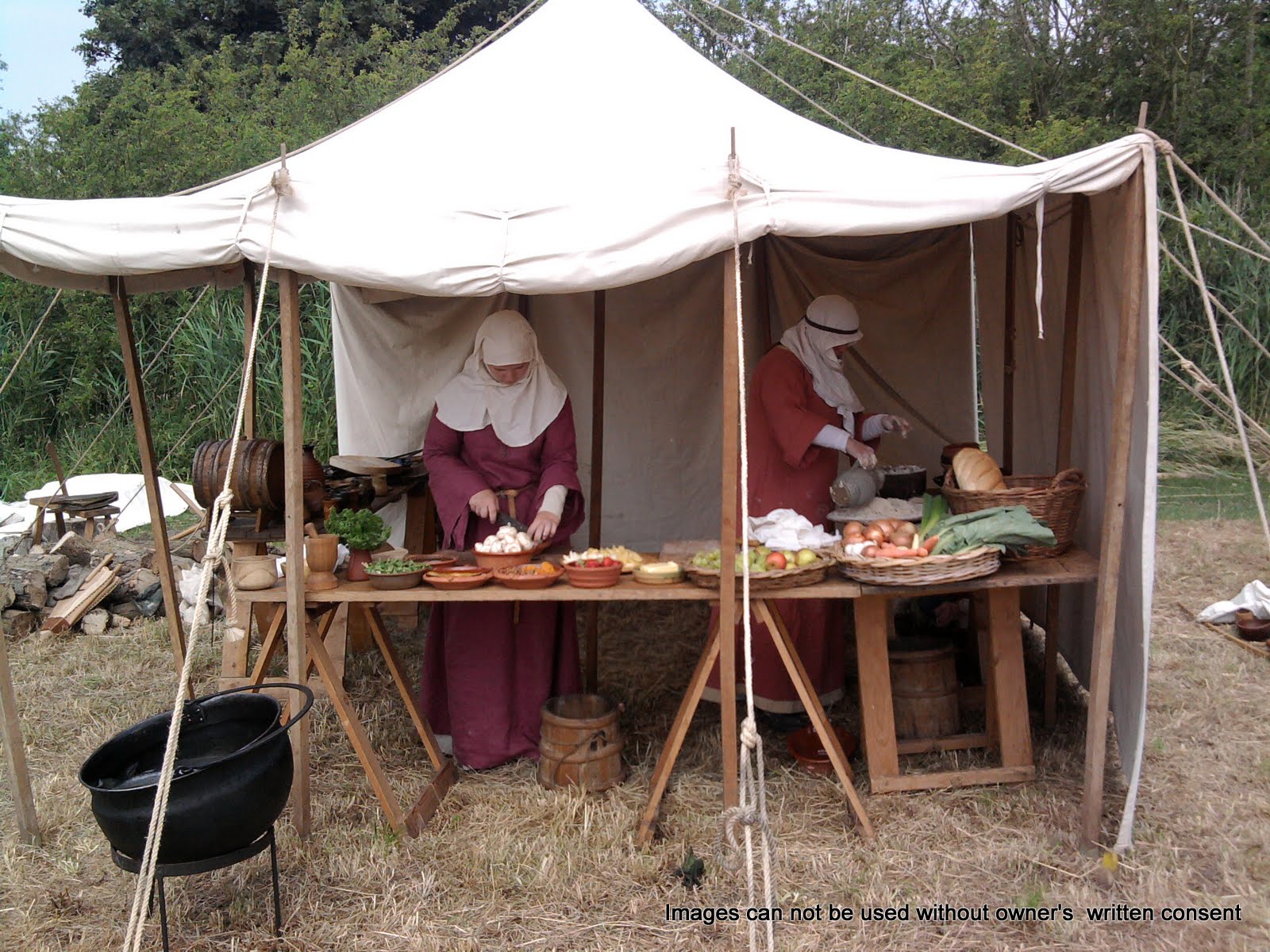 huntingdon festival 6-26-2010 12-57-030.jpg