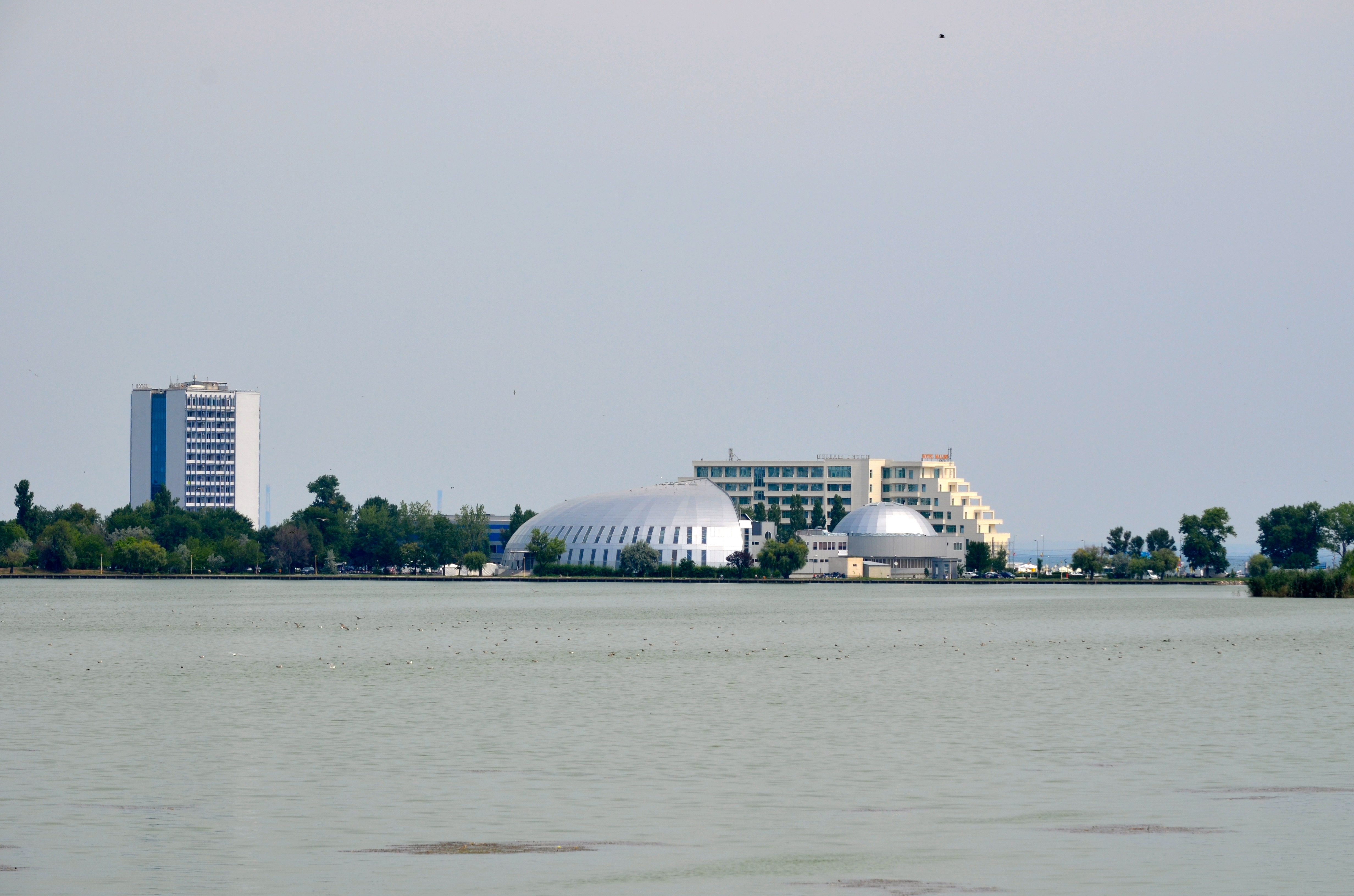 DSC_0504.JPG