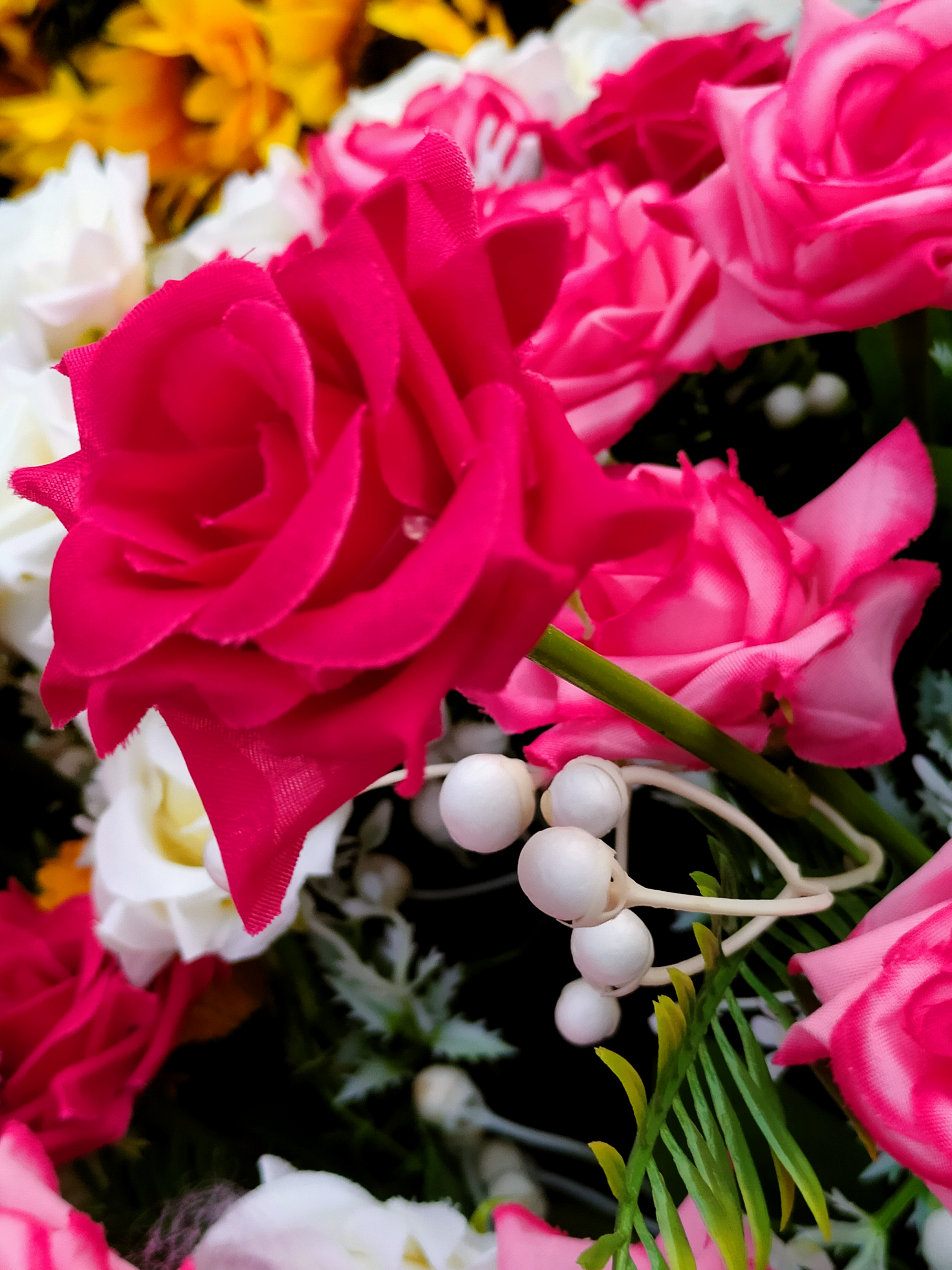 IMG20221017162003.jpg