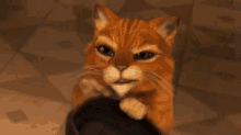 tenor (12).gif