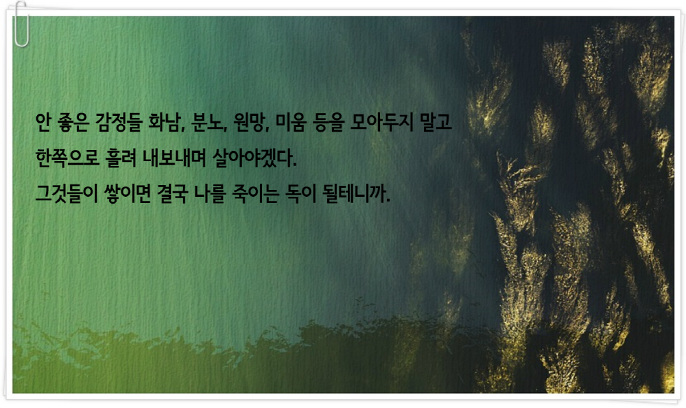 베스트 문장 13 (1).png