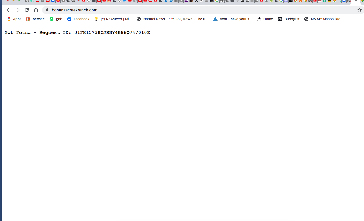 Screen Shot 2021-10-27 at 11.17.13 AM.png