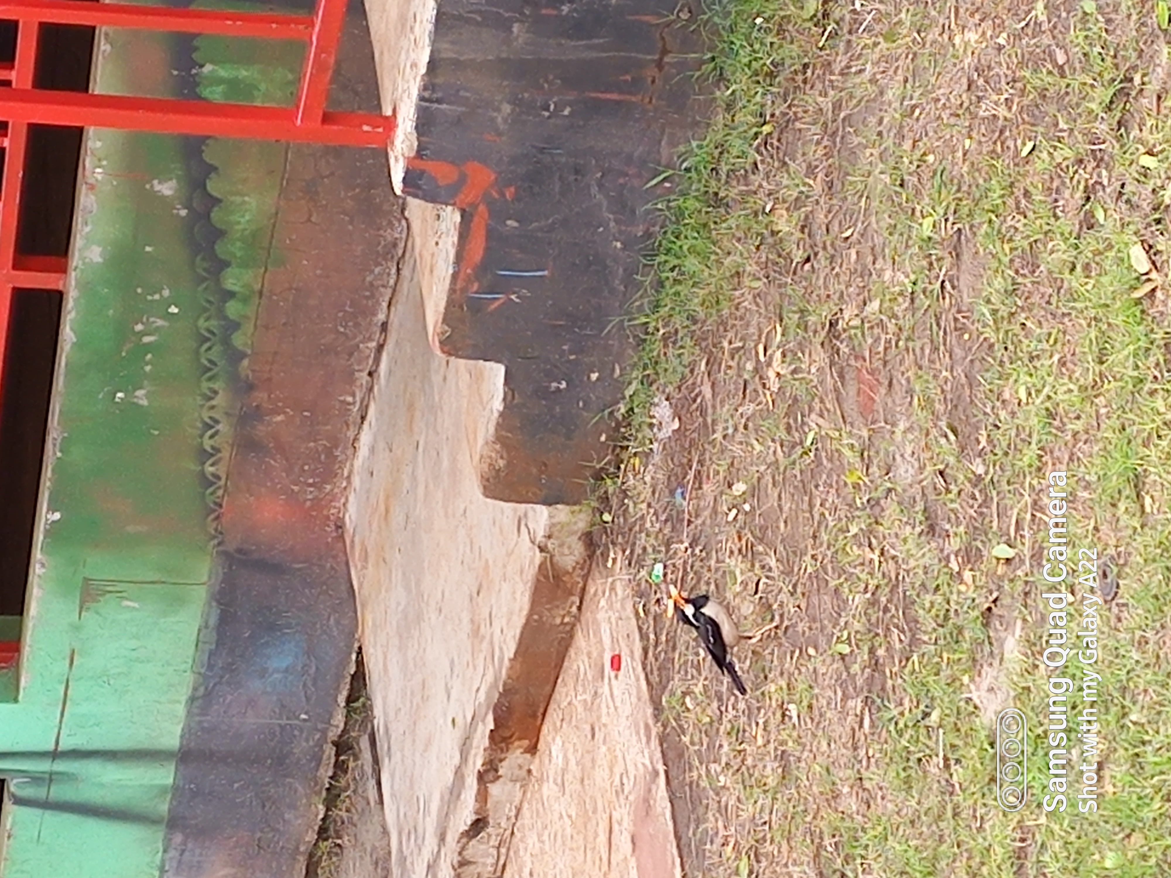 20220513_073759.jpg