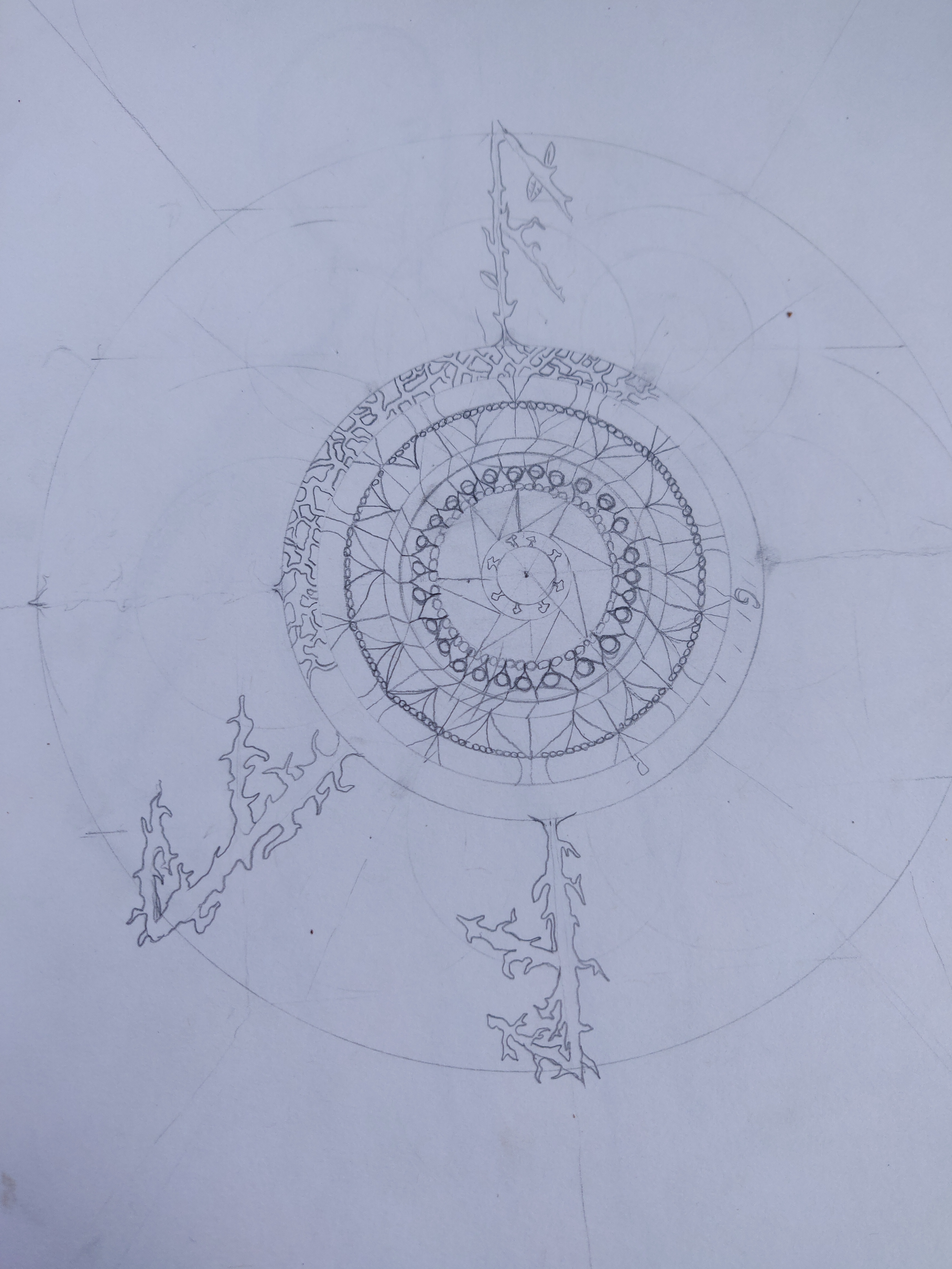15340020517649060791967256935962.jpg