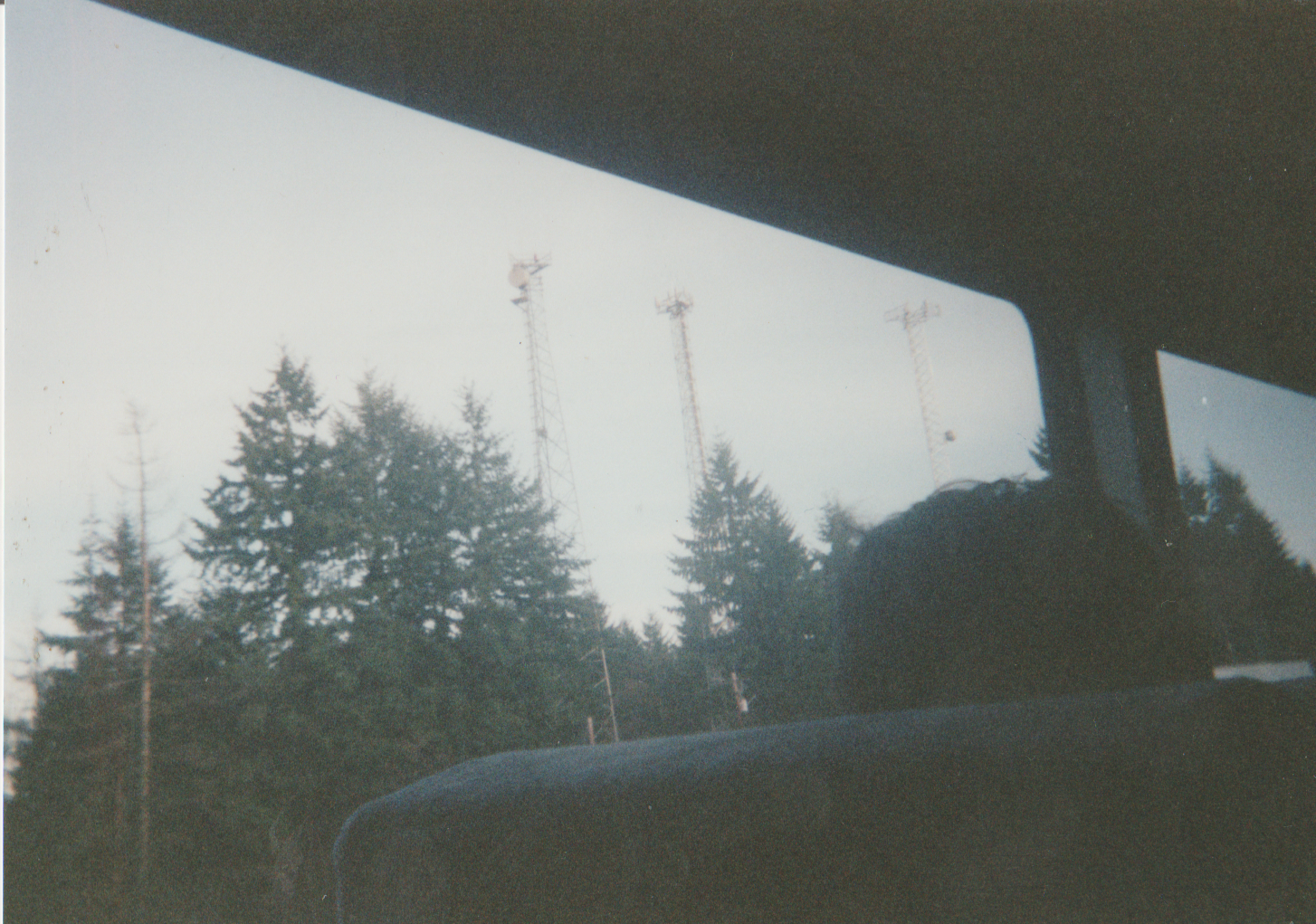 Trees from a car.png