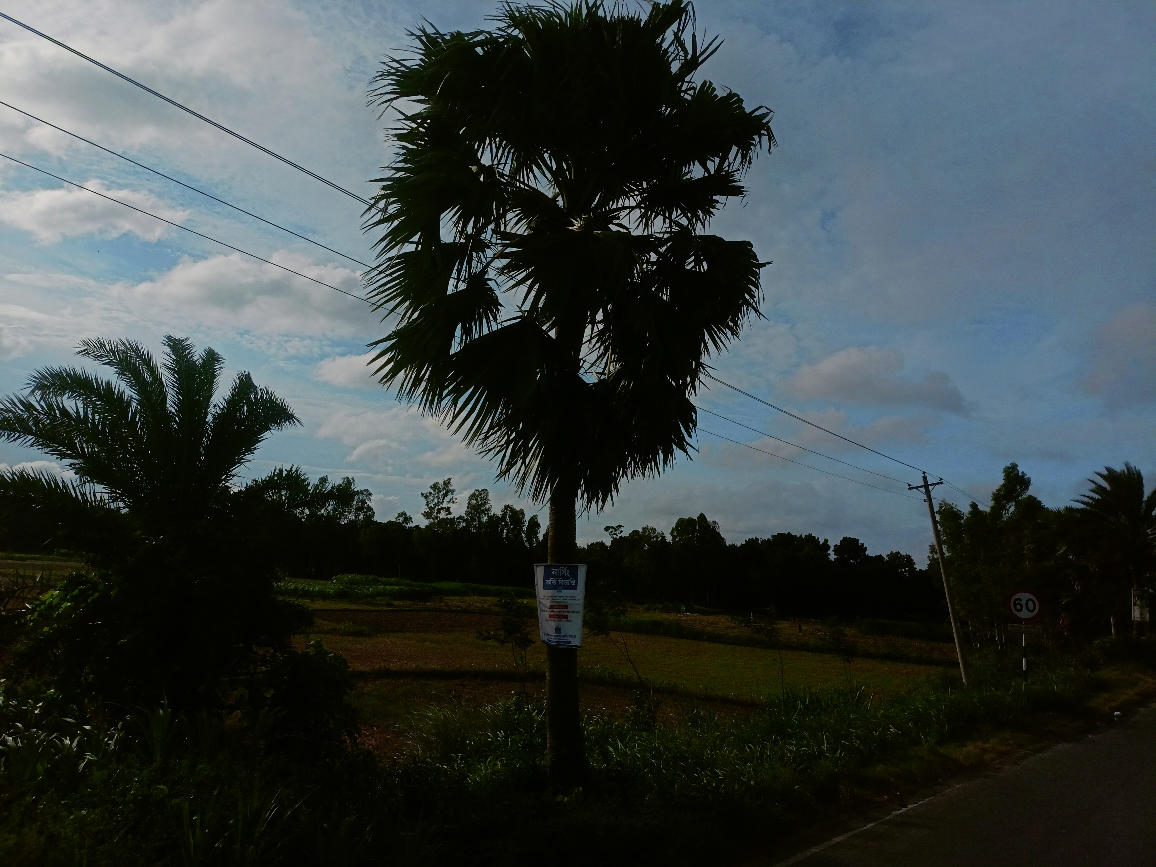 IMG20240628170715.jpg