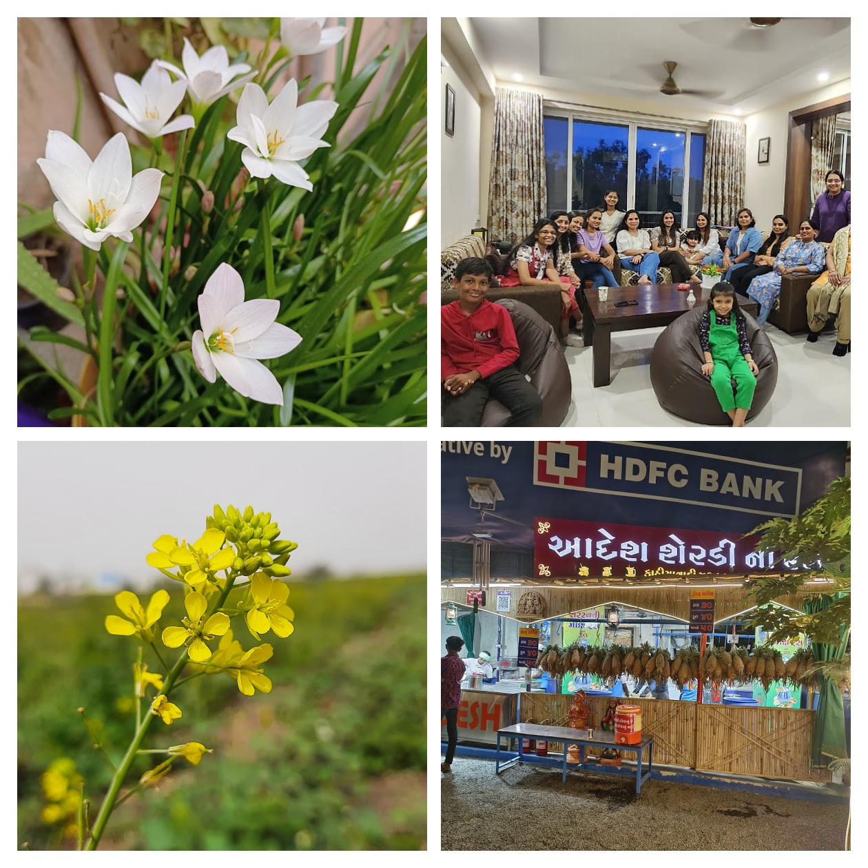 20220123_124056-COLLAGE.jpg