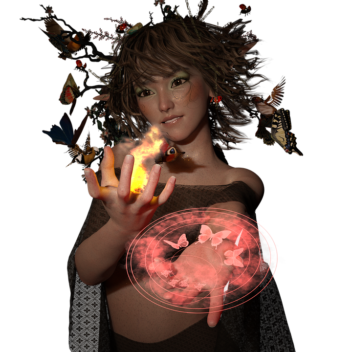 fee-4076637_960_720.png