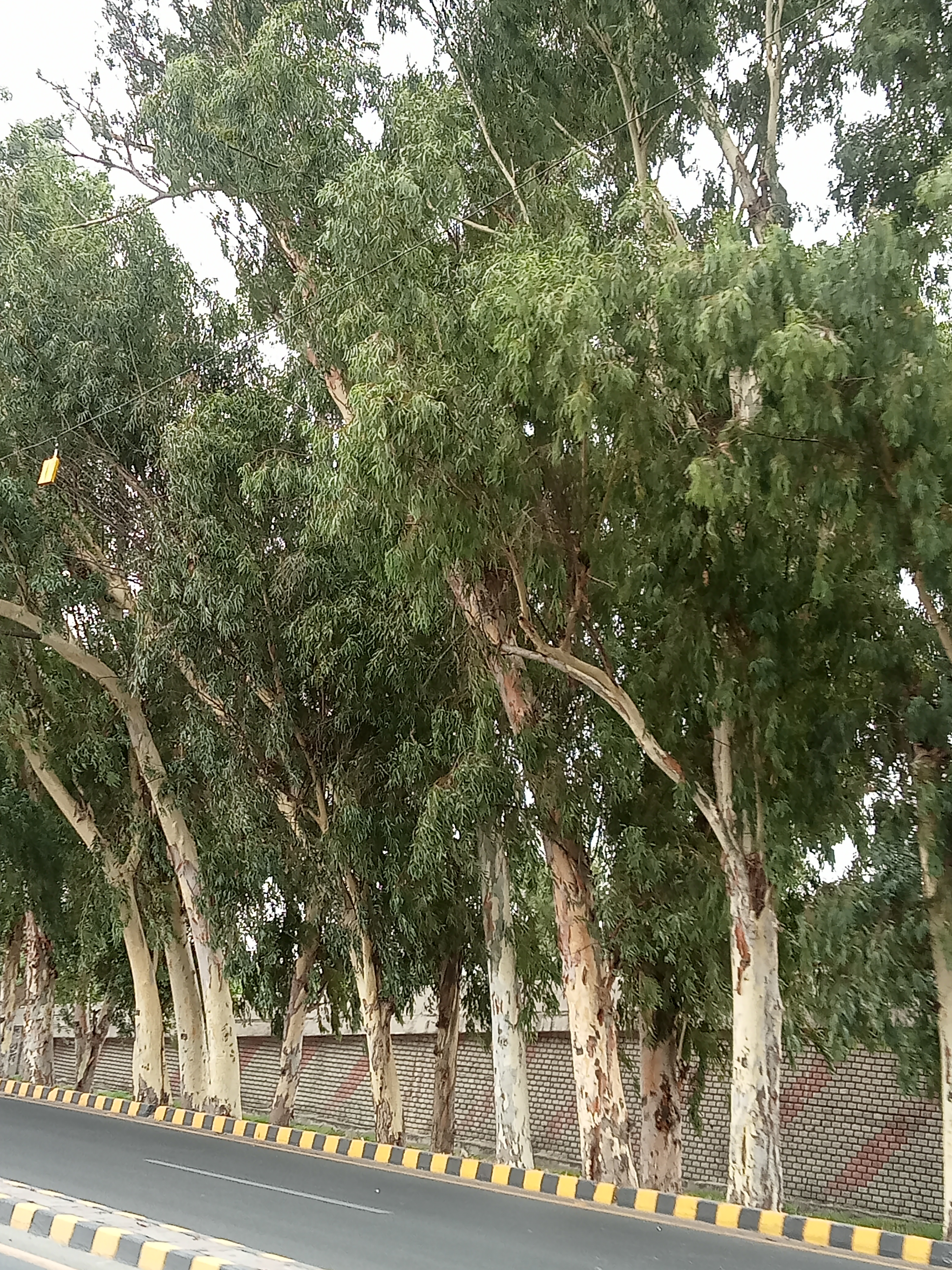 1750134959530197544966966834591.jpg