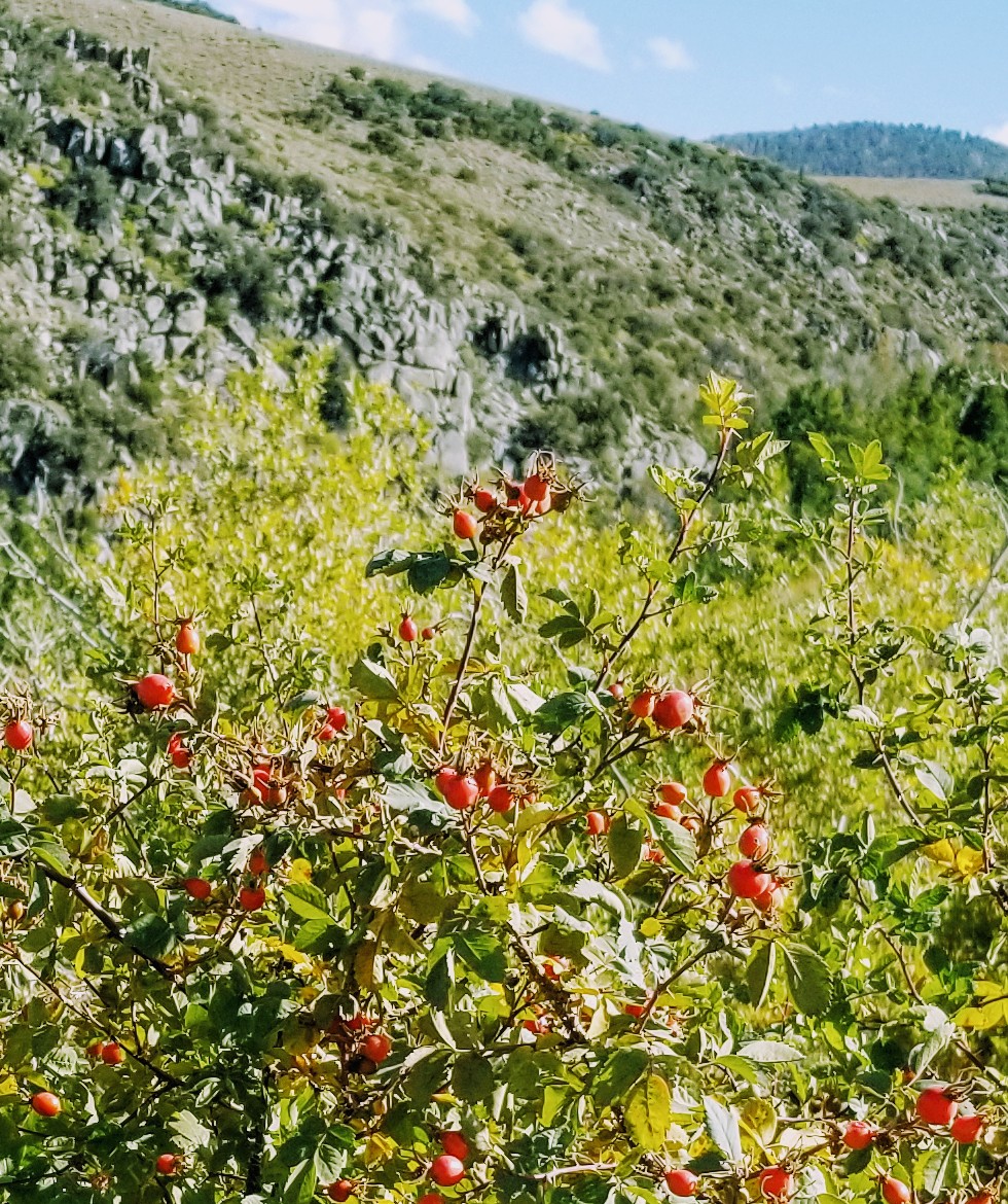 20190923_150149.jpg