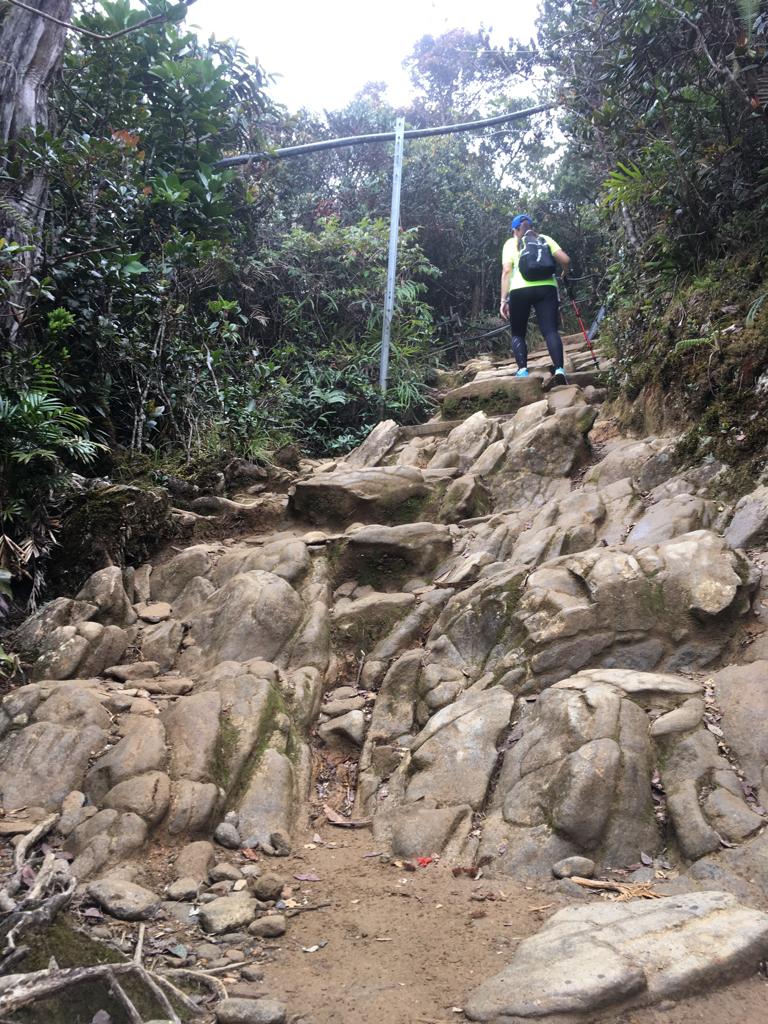 rock stairs.jpeg