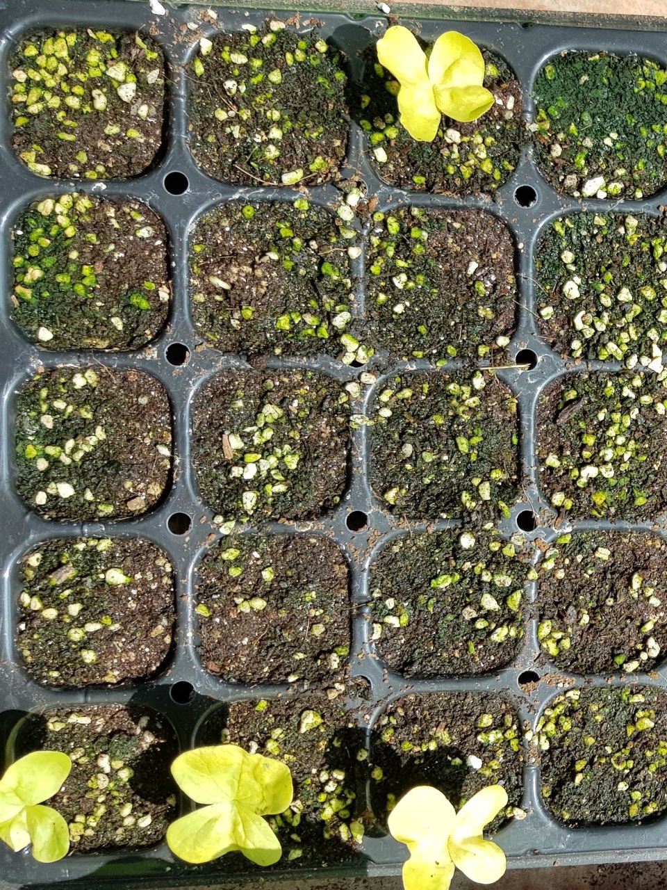 20181003_223606.jpg