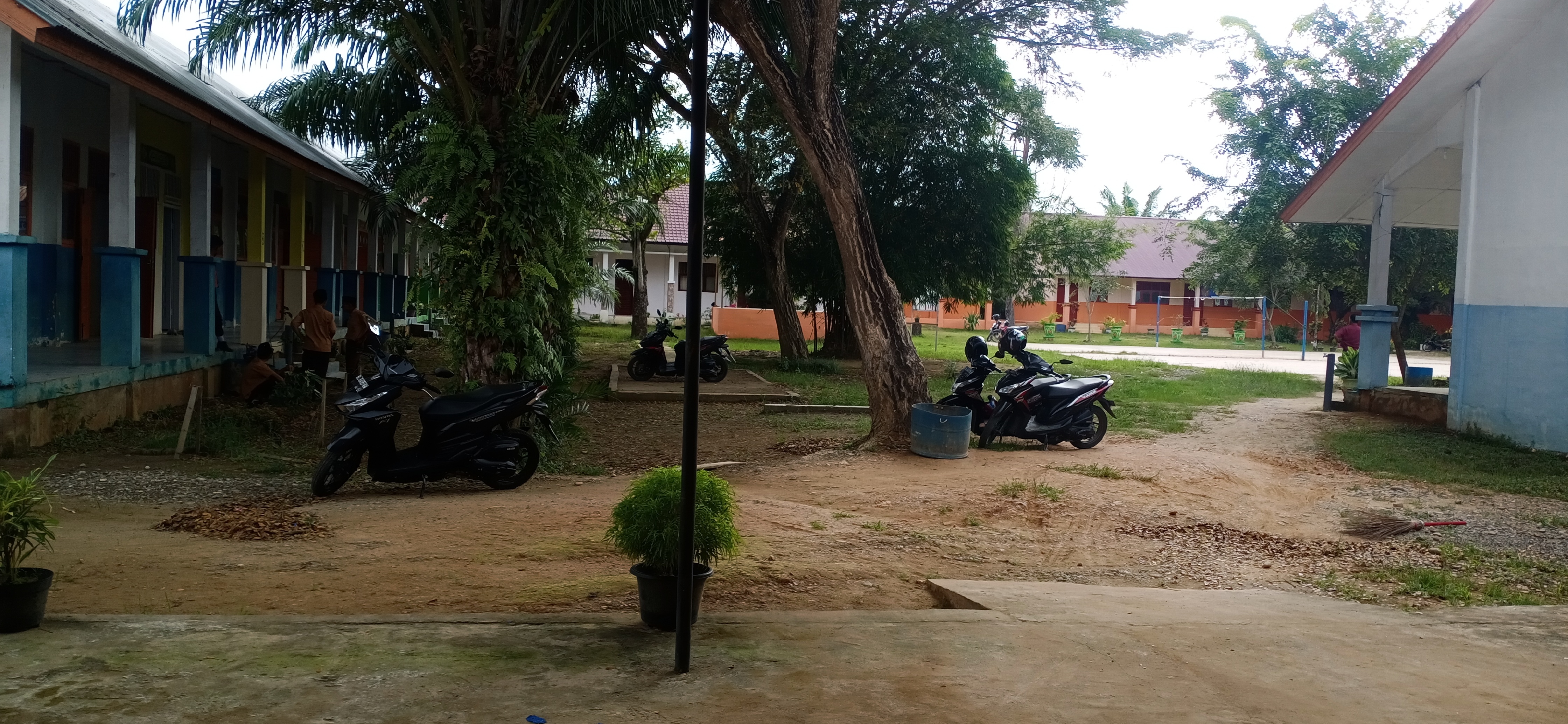 IMG_20201114_153555.jpg