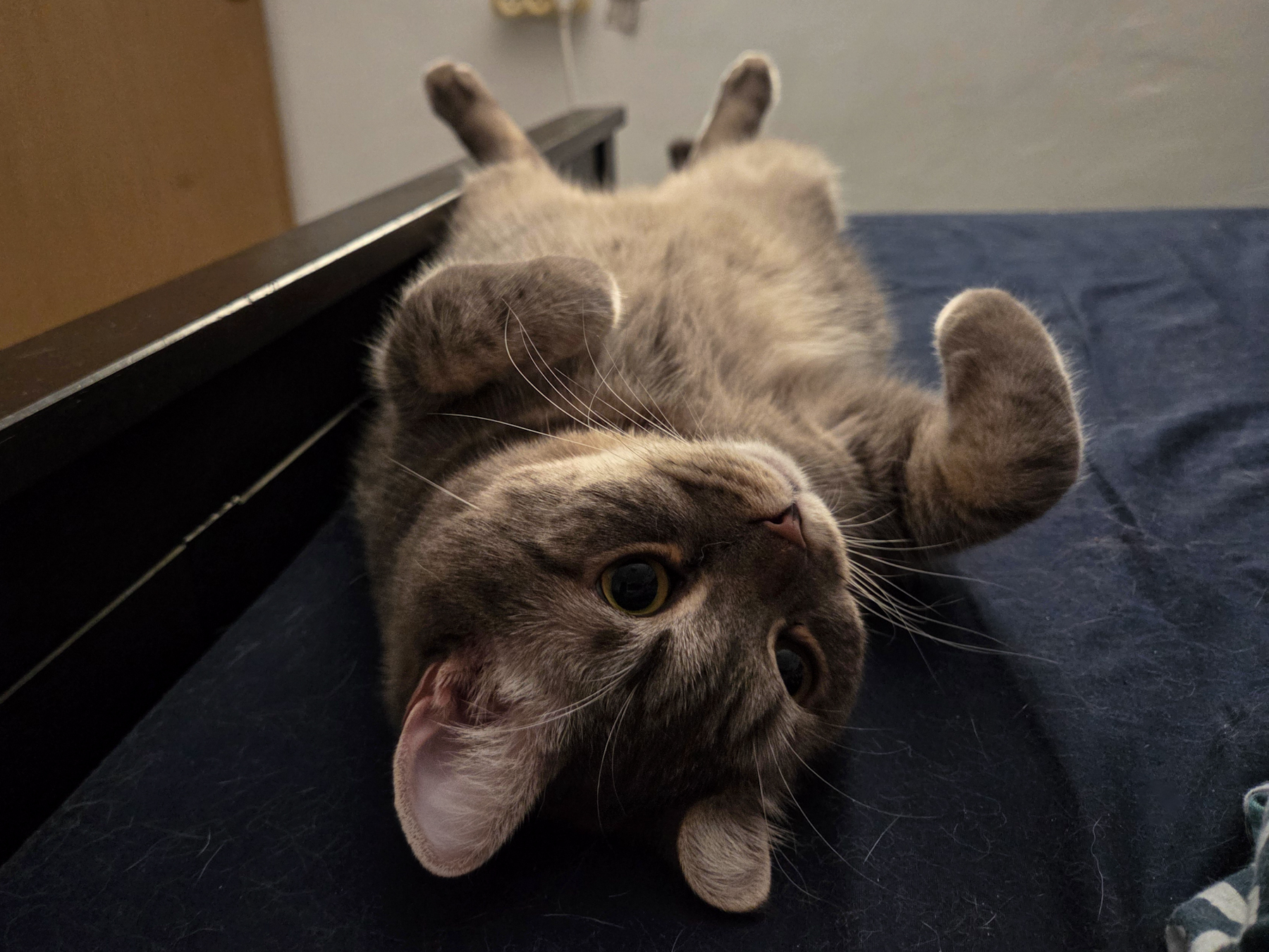 1000083172.jpg