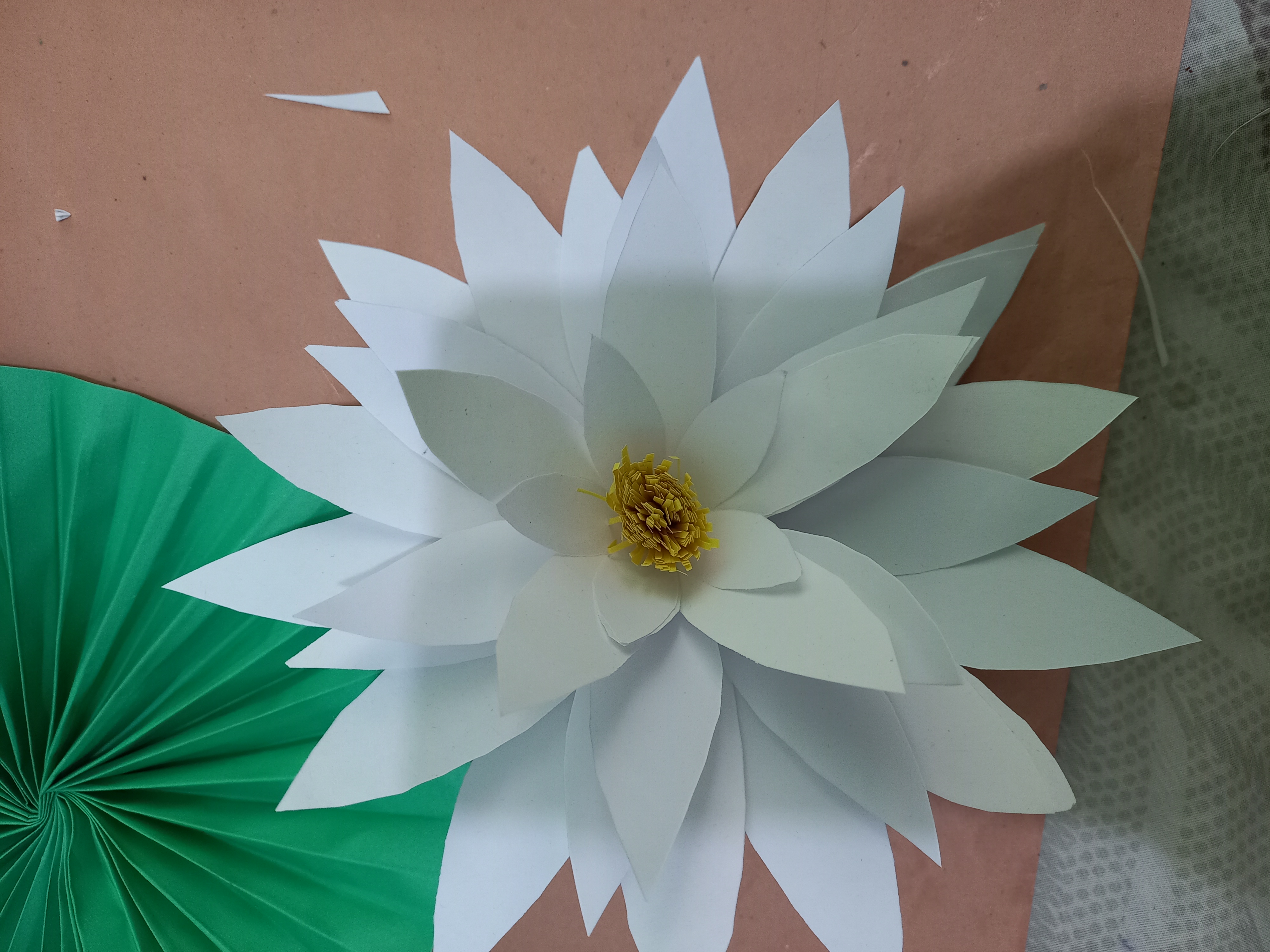20220126_121259.jpg