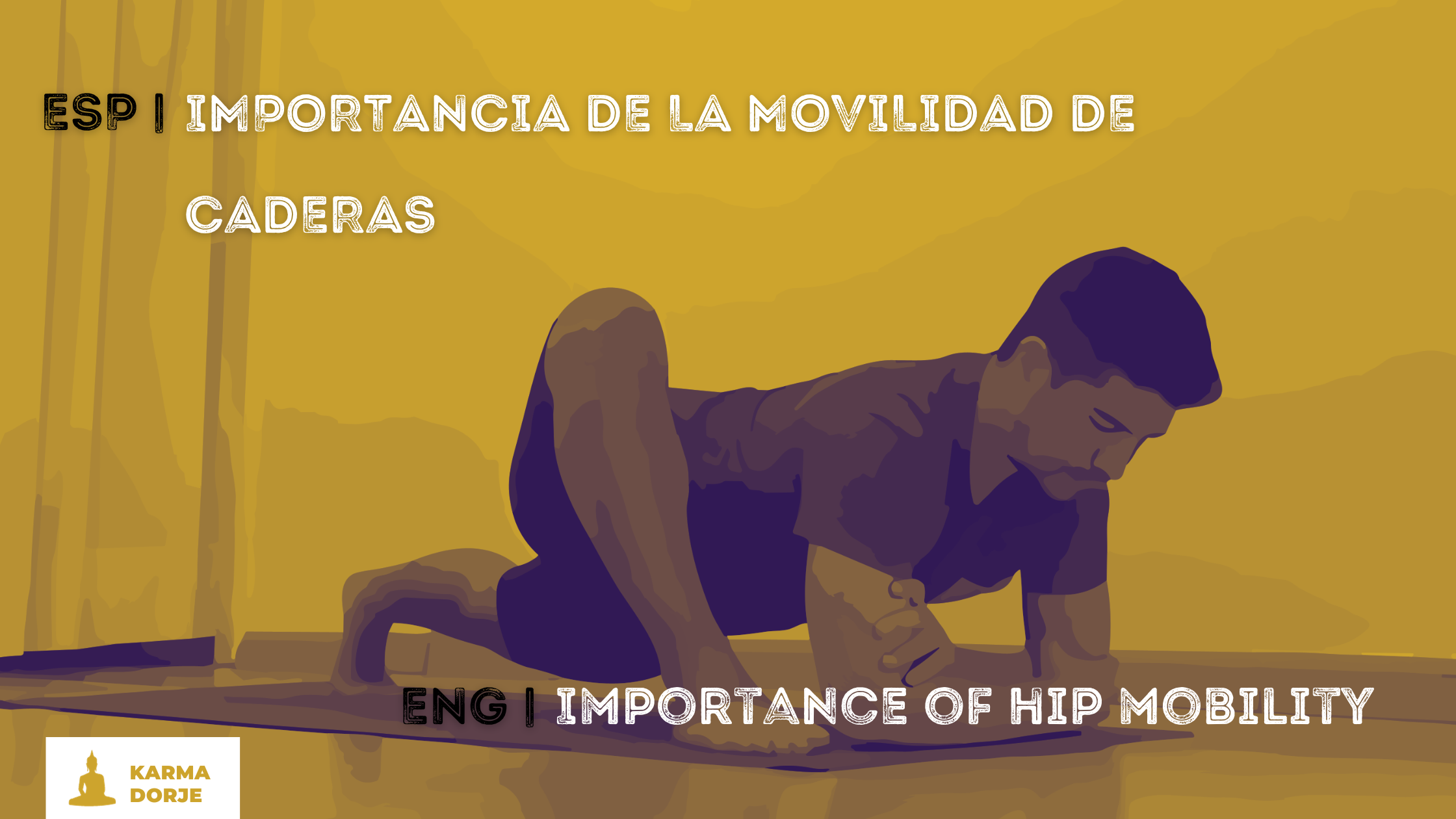 Portadas y contenido - Hive.png