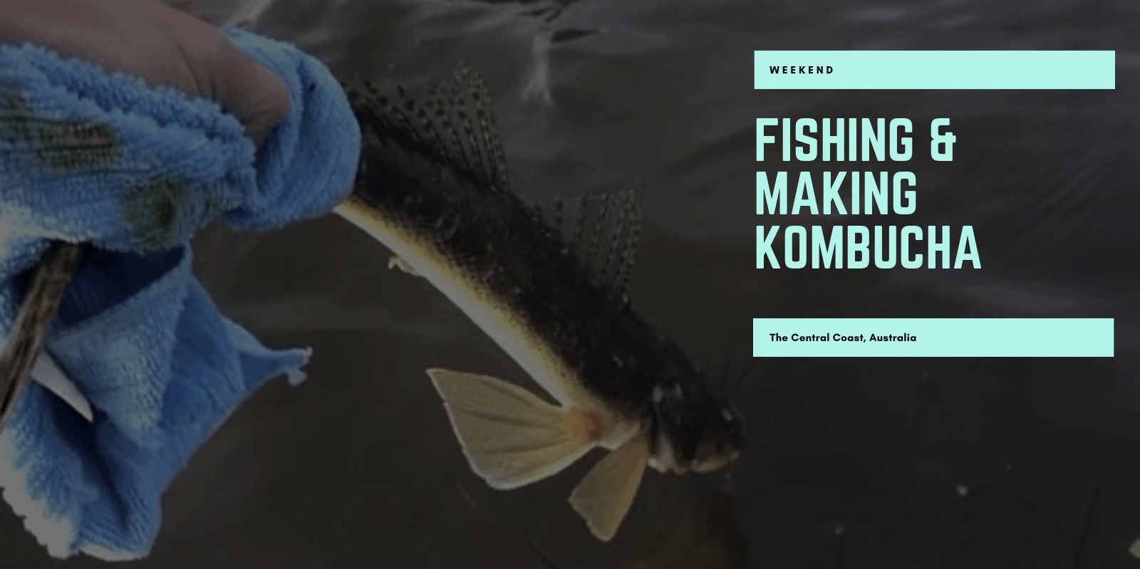 Fishing and making kombucha