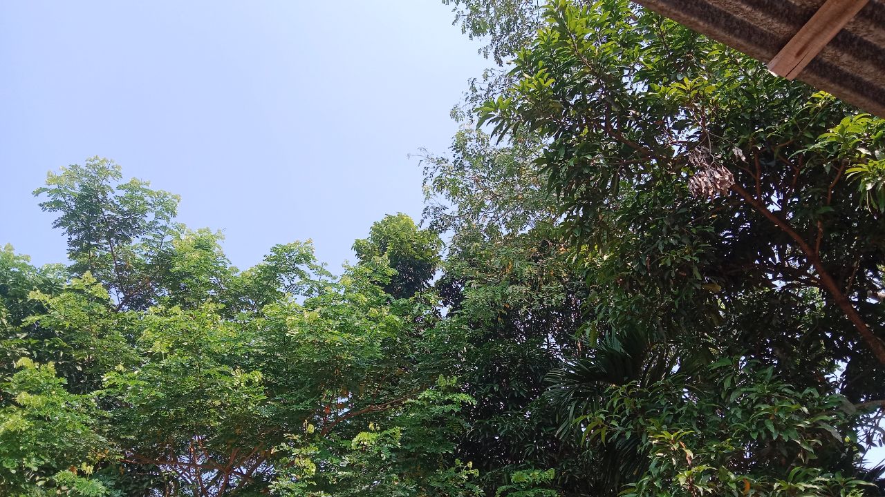 IMG_20251026_211235_645.jpg