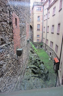 IMG_6385.JPG