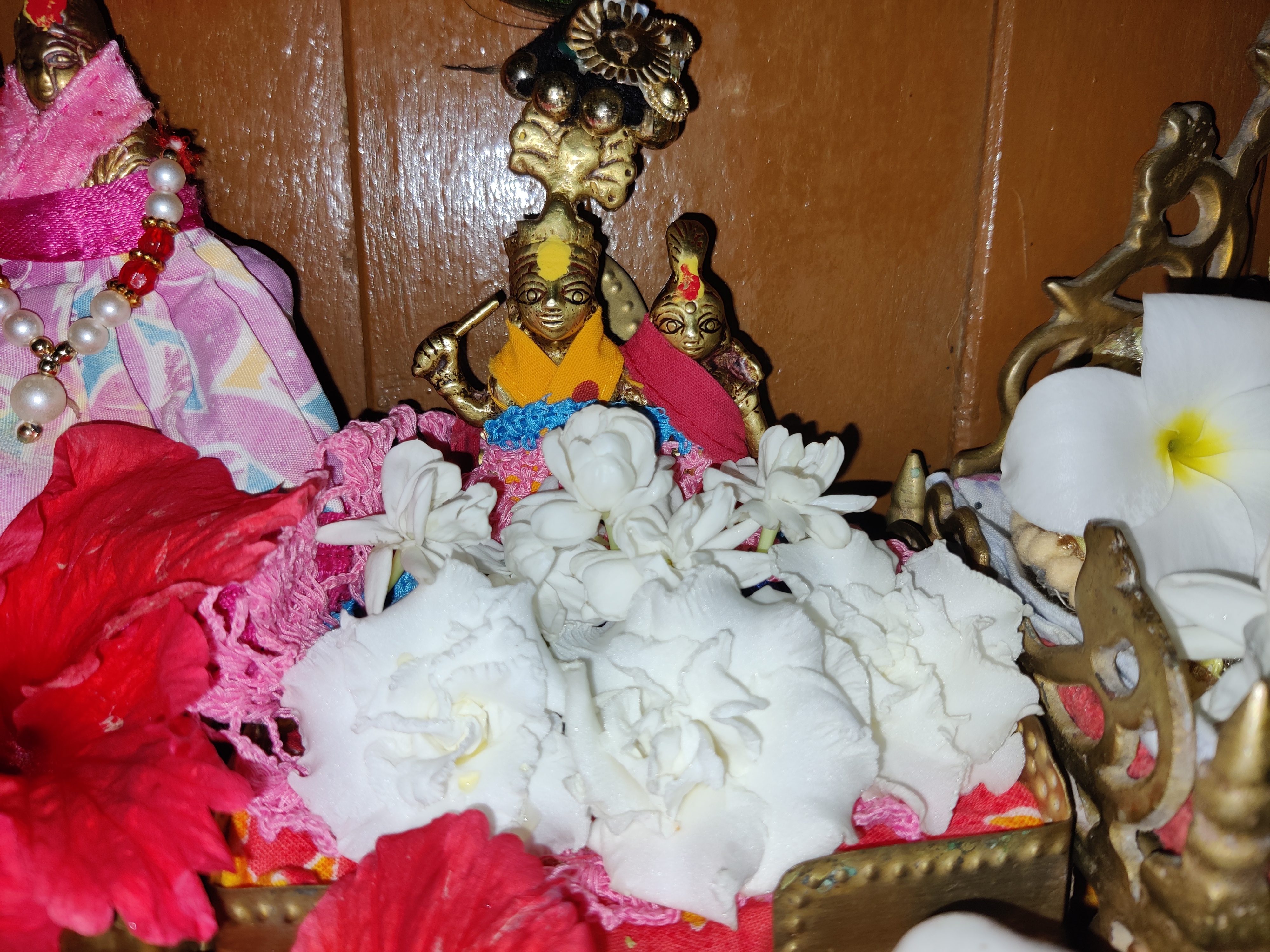 IMG_20260702_144413.jpg
