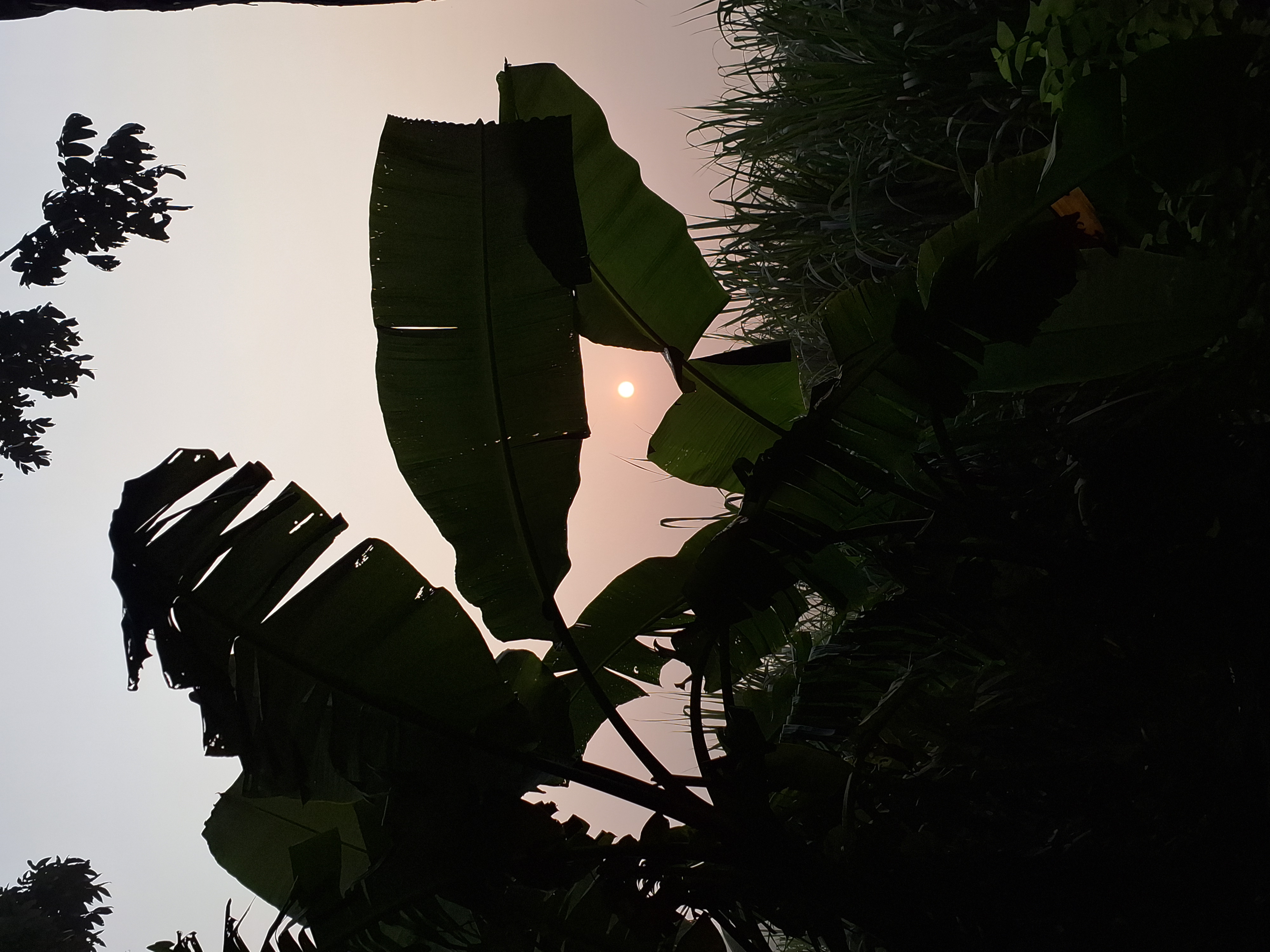 20241016_064828.jpg