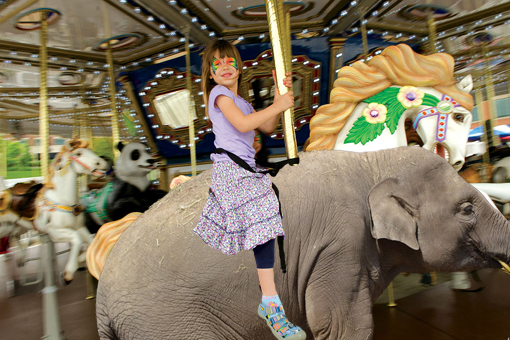 elefante.jpg