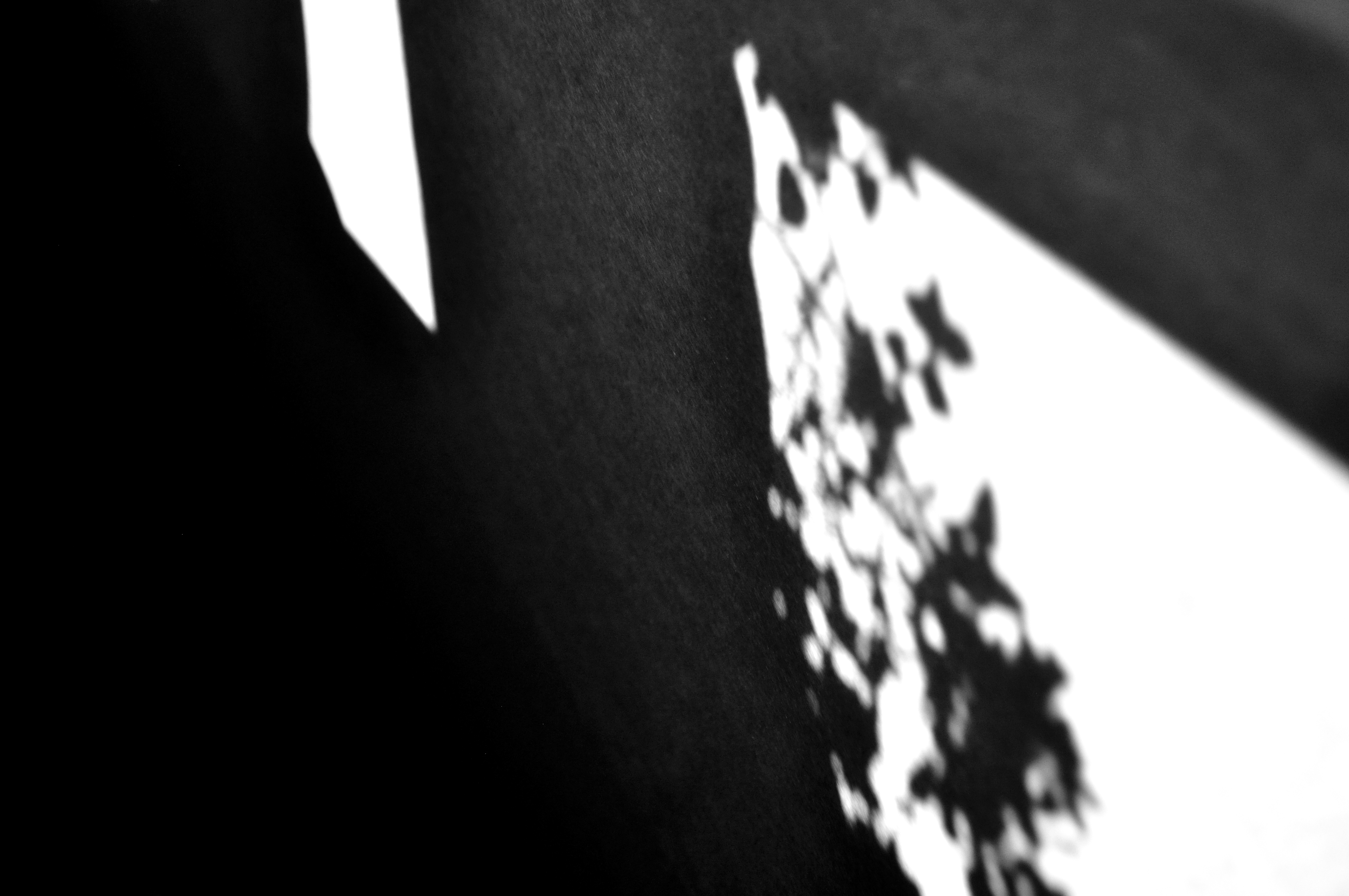 sombra-3.jpg