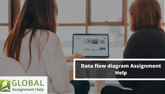 Data-Flow-Diagram-Assignment.jpg