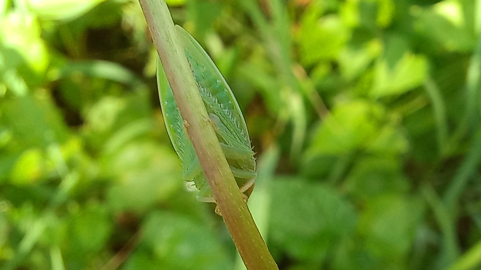 20221009_092516.jpg