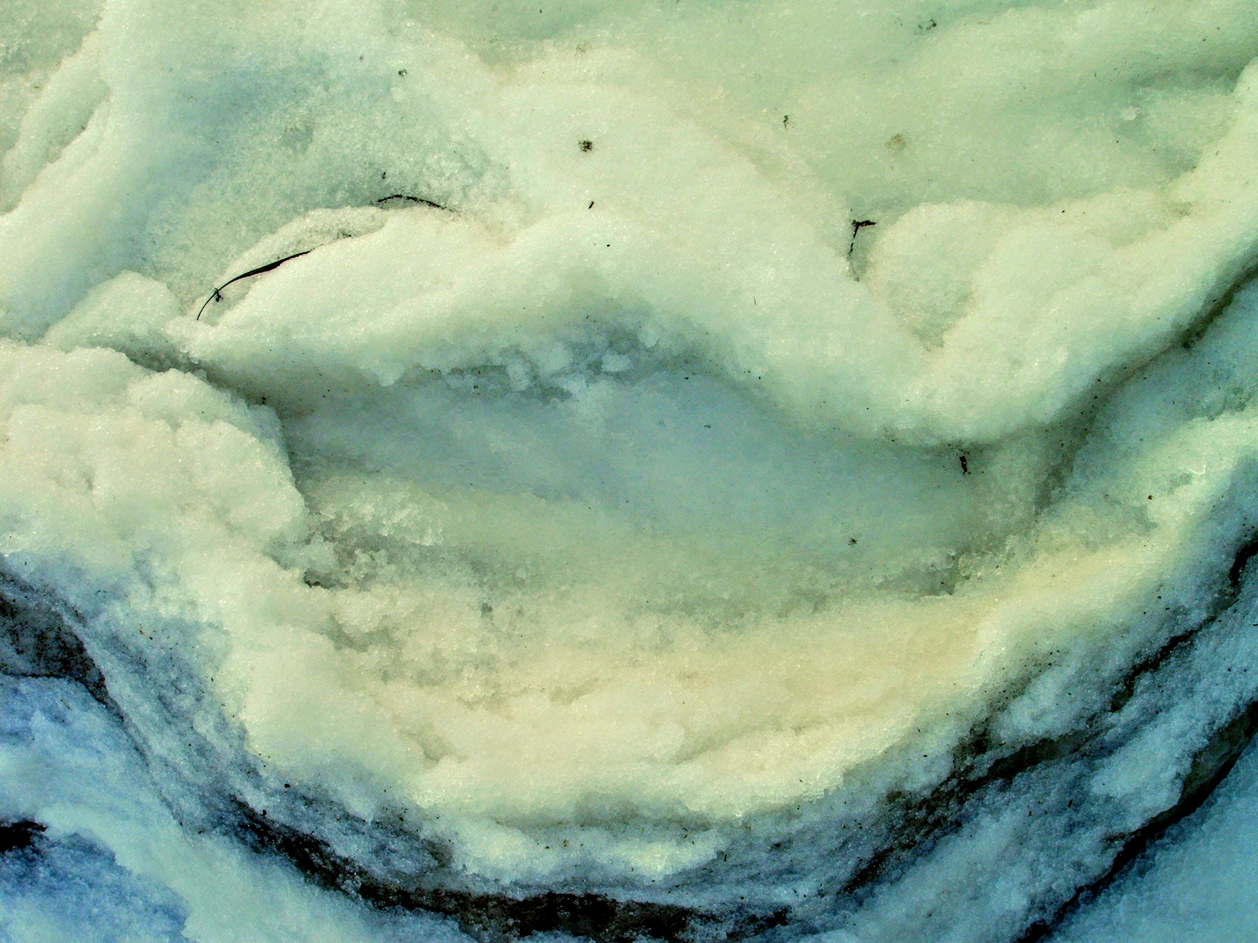 IMAG0008.jpg