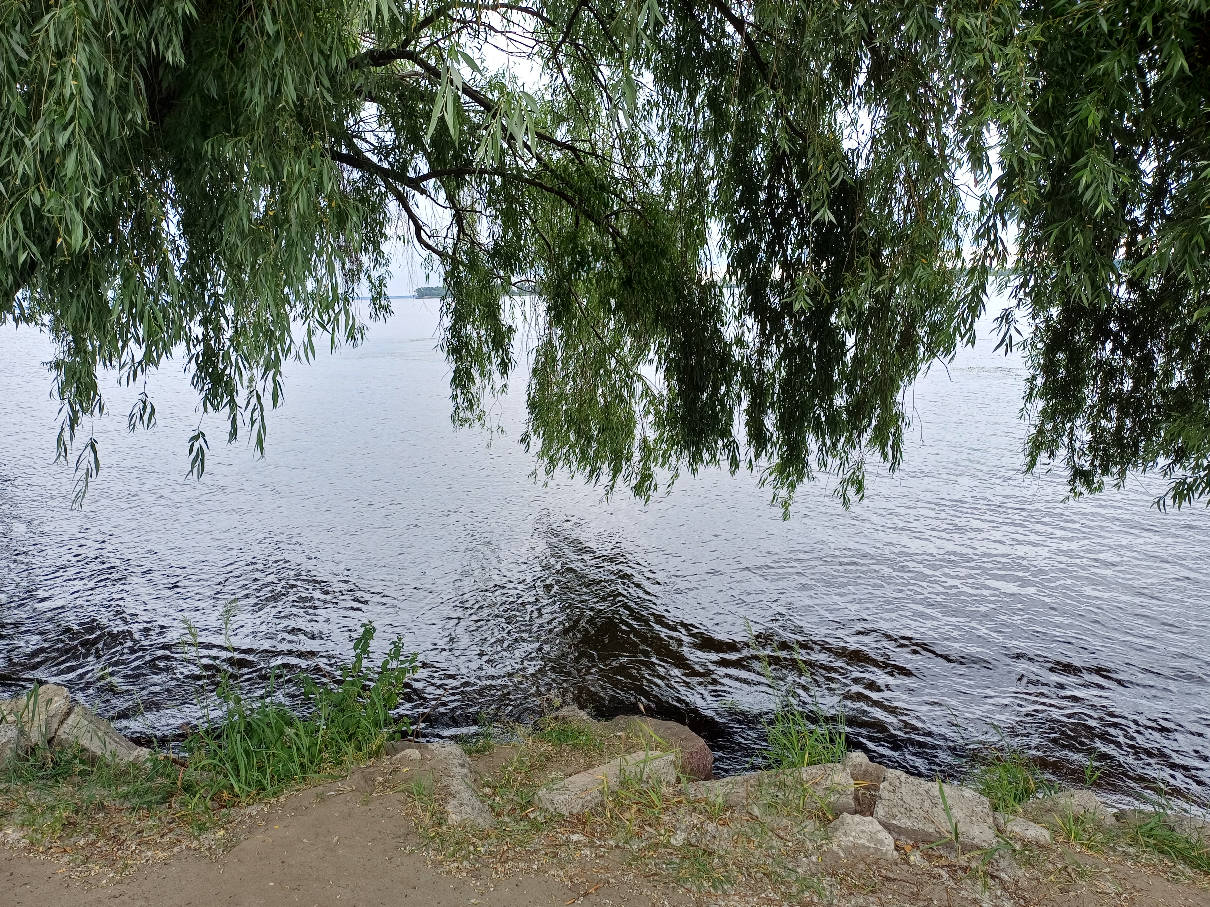 20260608_084507.jpg