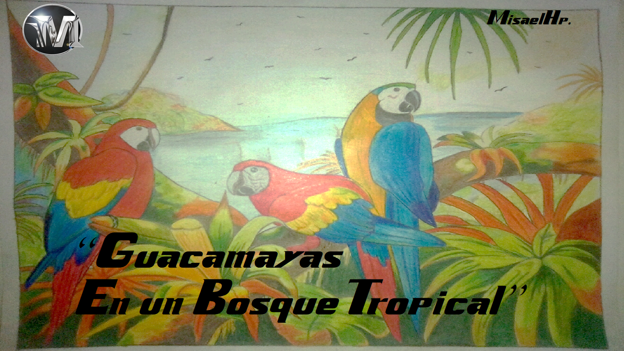 Miniatura para guacamayas.png