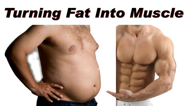 thelifeupgrades-fat-to-muscle-myth.jpg