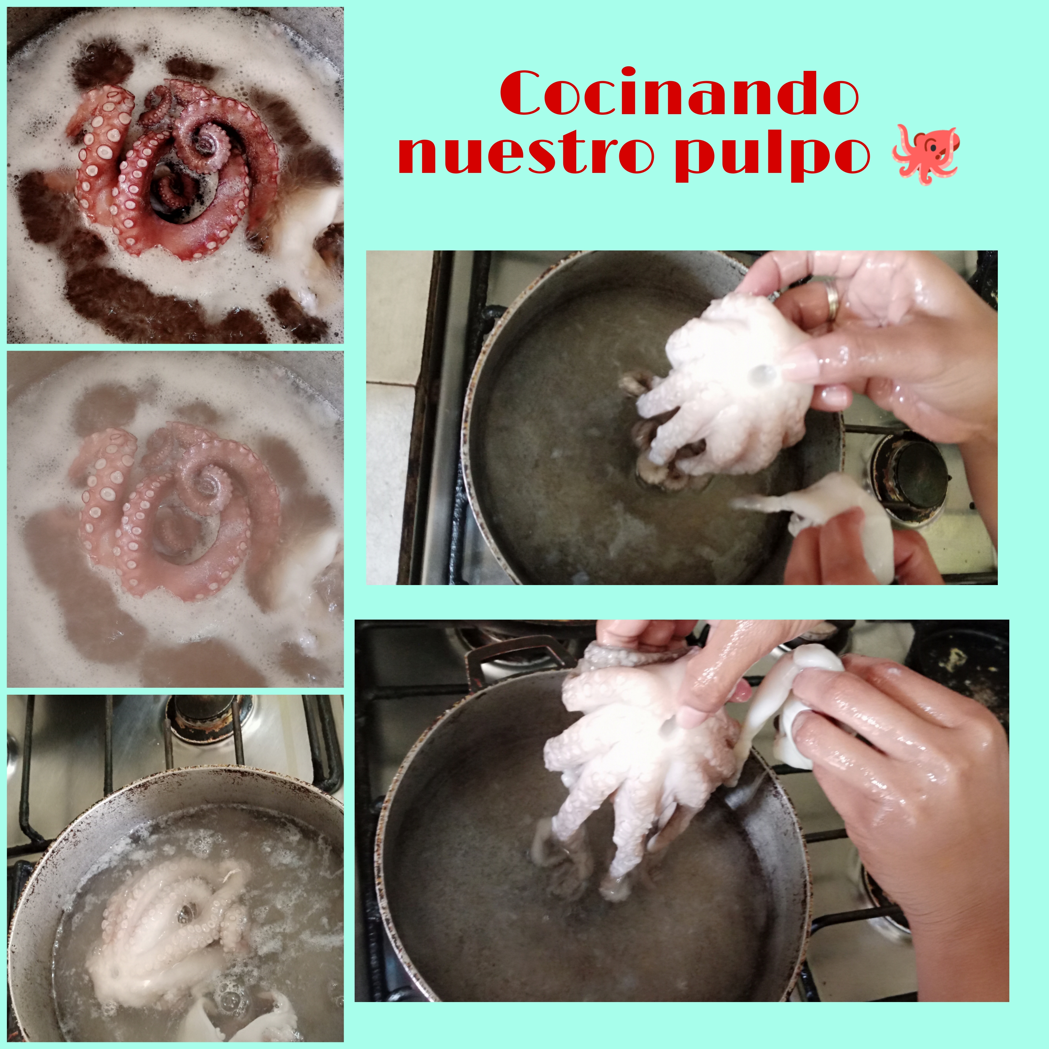 Picsart_22-06-25_12-34-14-061.jpg
