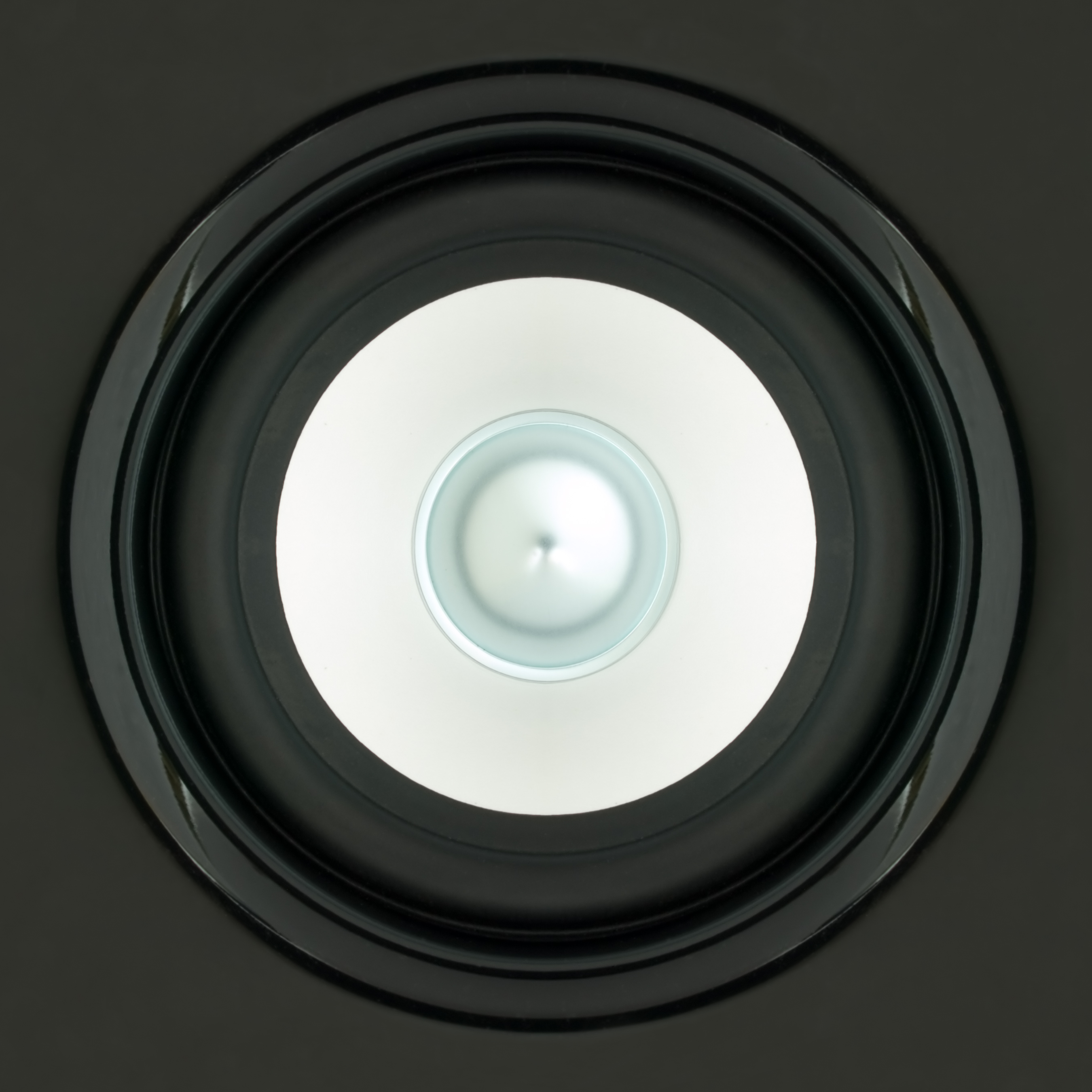 2008-04-01 Speaker 01.jpg