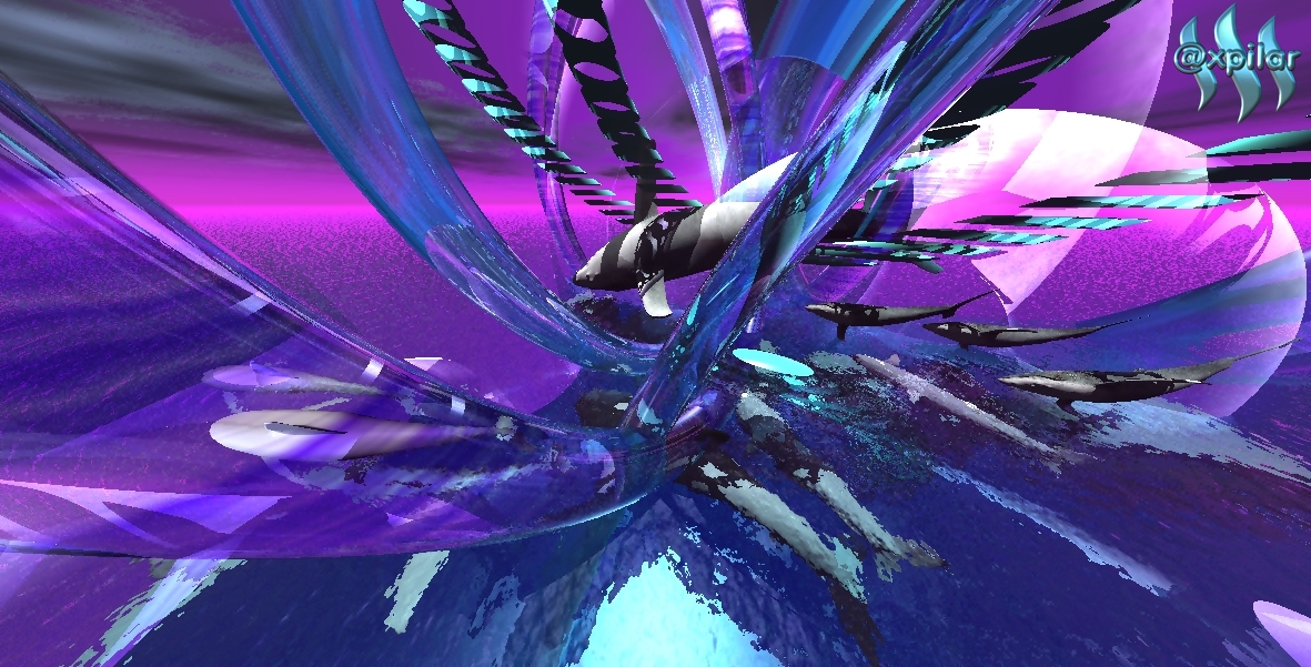 confused whales, what journey do they take 1 A.jpg