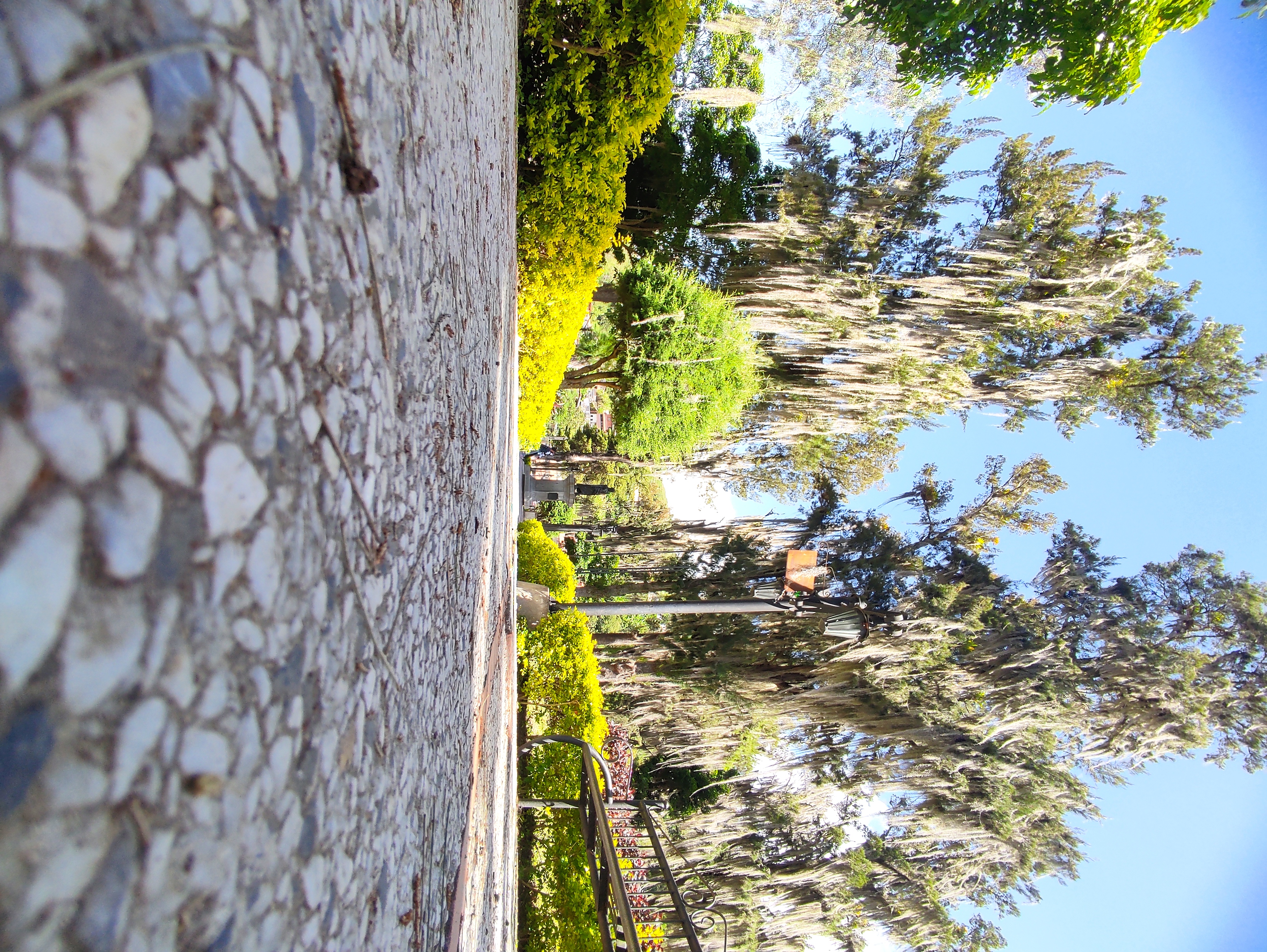 IMG_20220713_104634.jpg