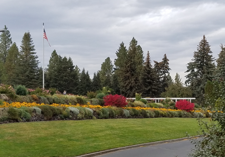 20181001_145509 trimmed_12.jpg